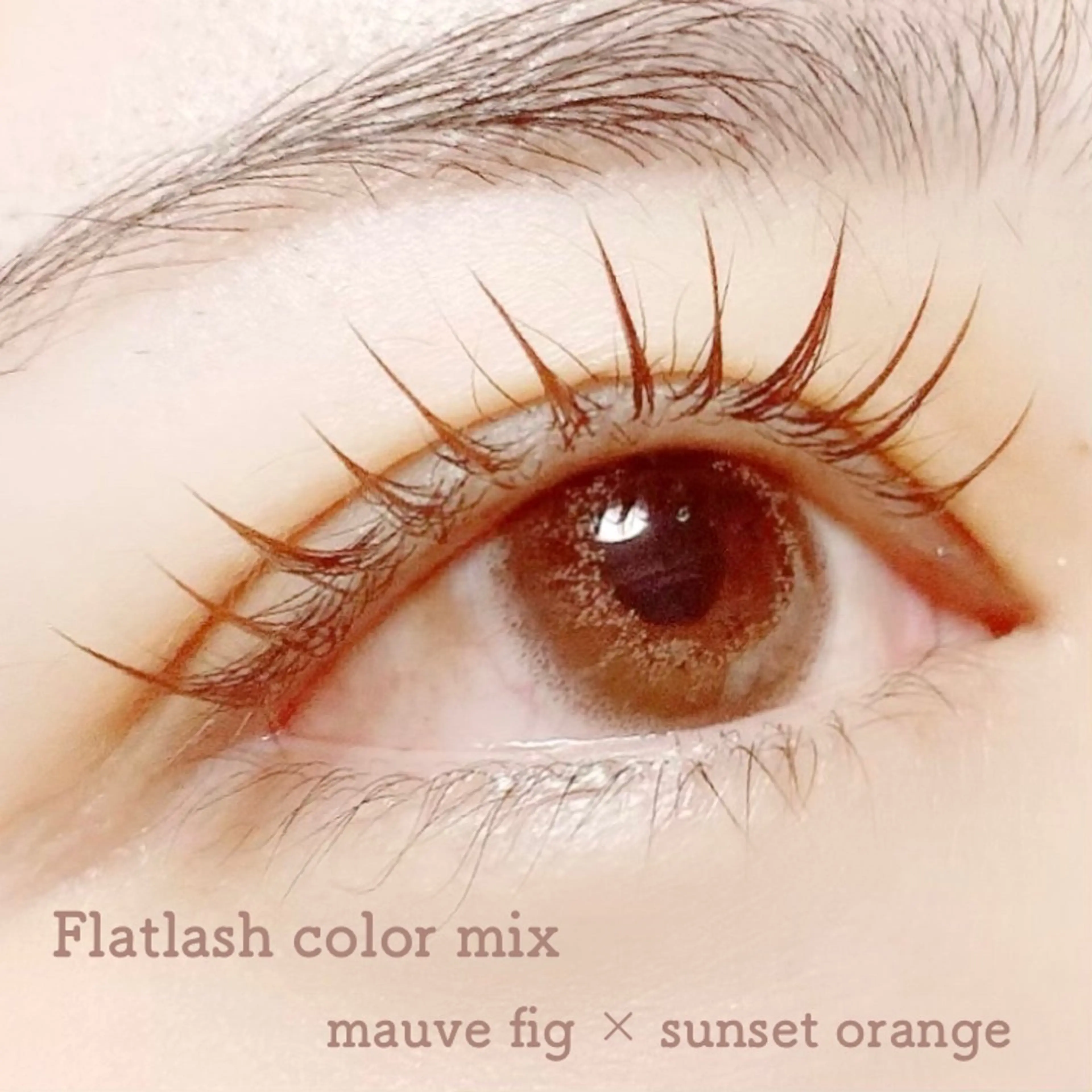 マツエク・マツパ カラーマツエク Hase　本八幡 🧸マツエク専門🧸のマツエク・マツパデザイン