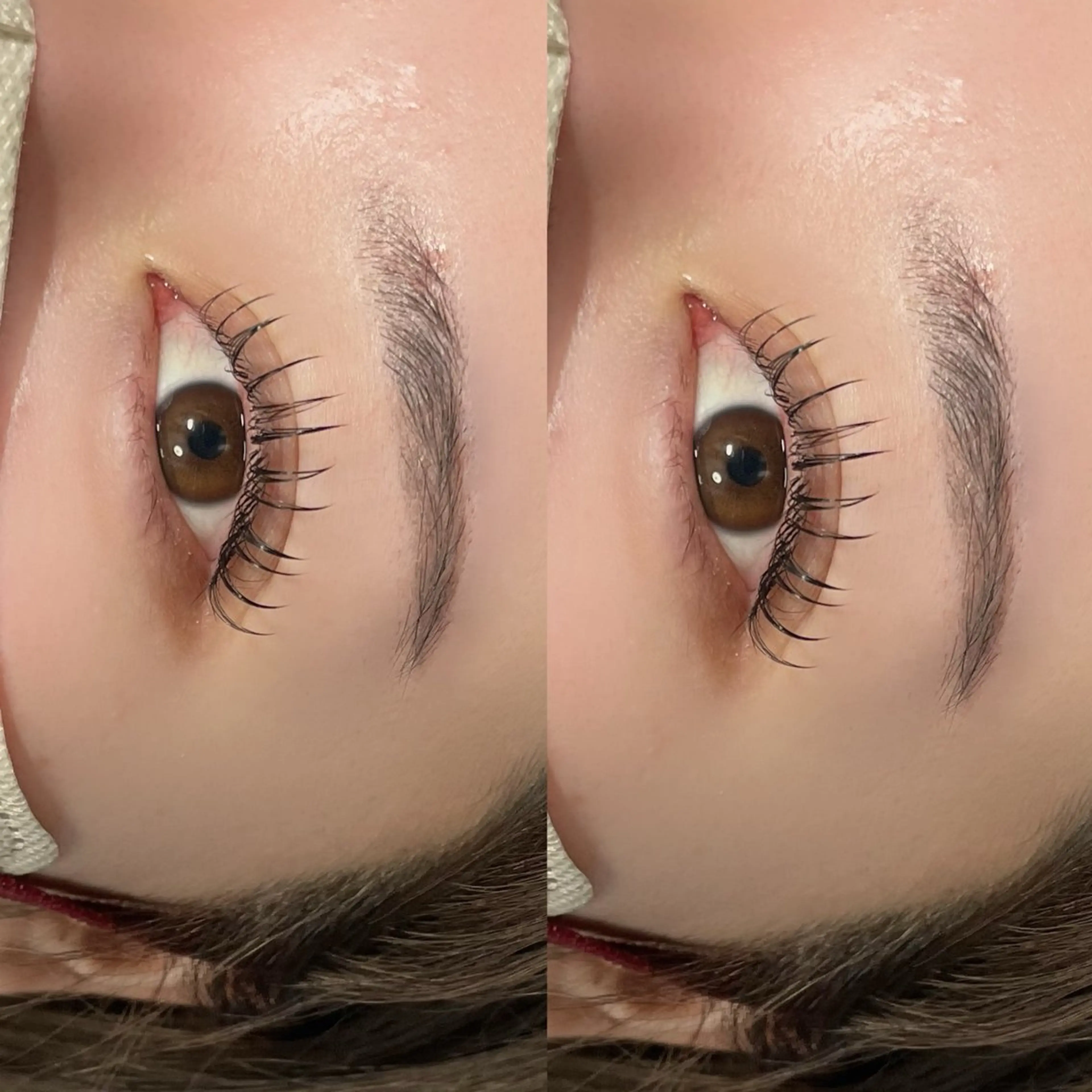 マツエク・マツパ eclipse eyelashのマツエク・マツパデザイン