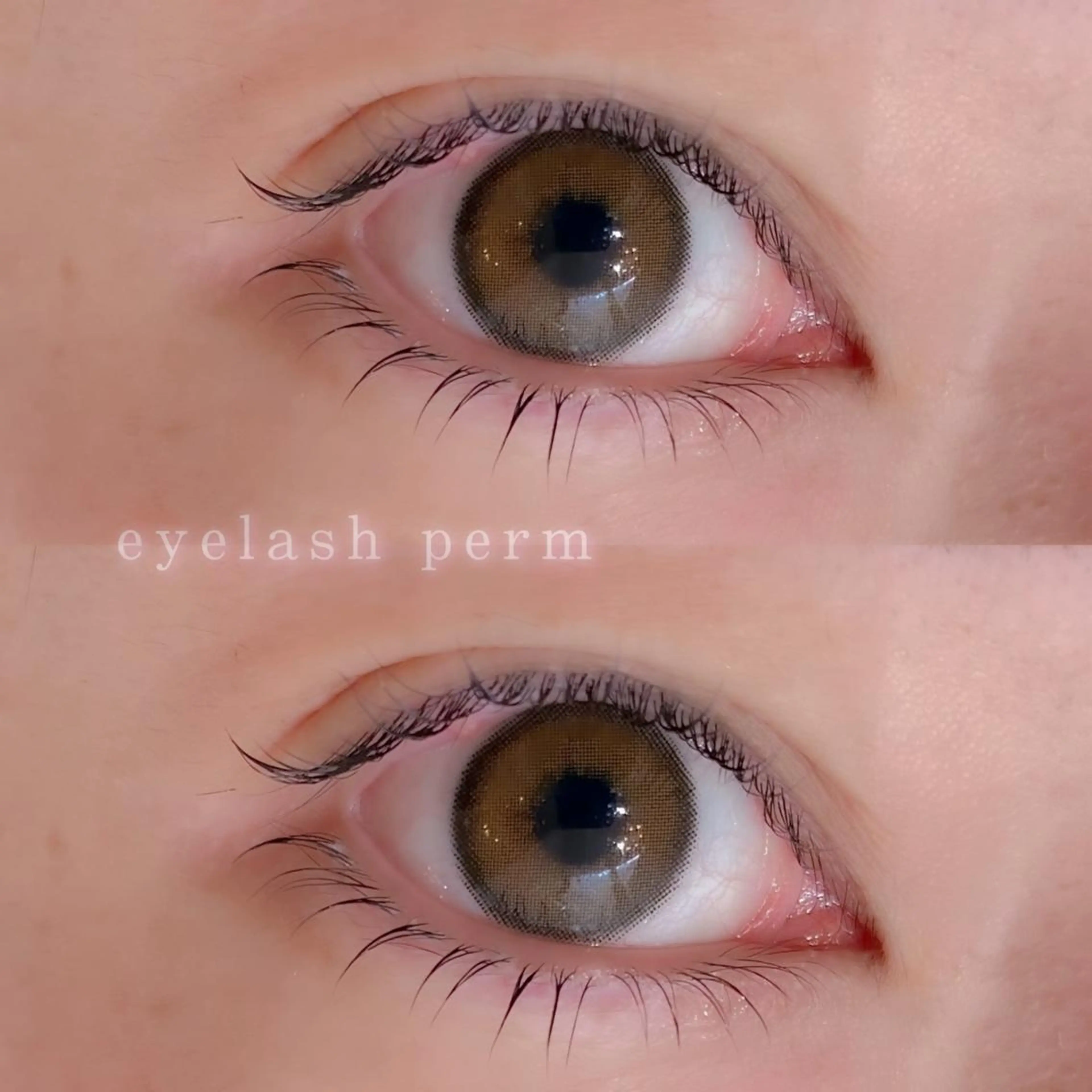 マツエク・マツパ ドットネイル by maison de charme所属・🎀 AYANEのネイルデザイン