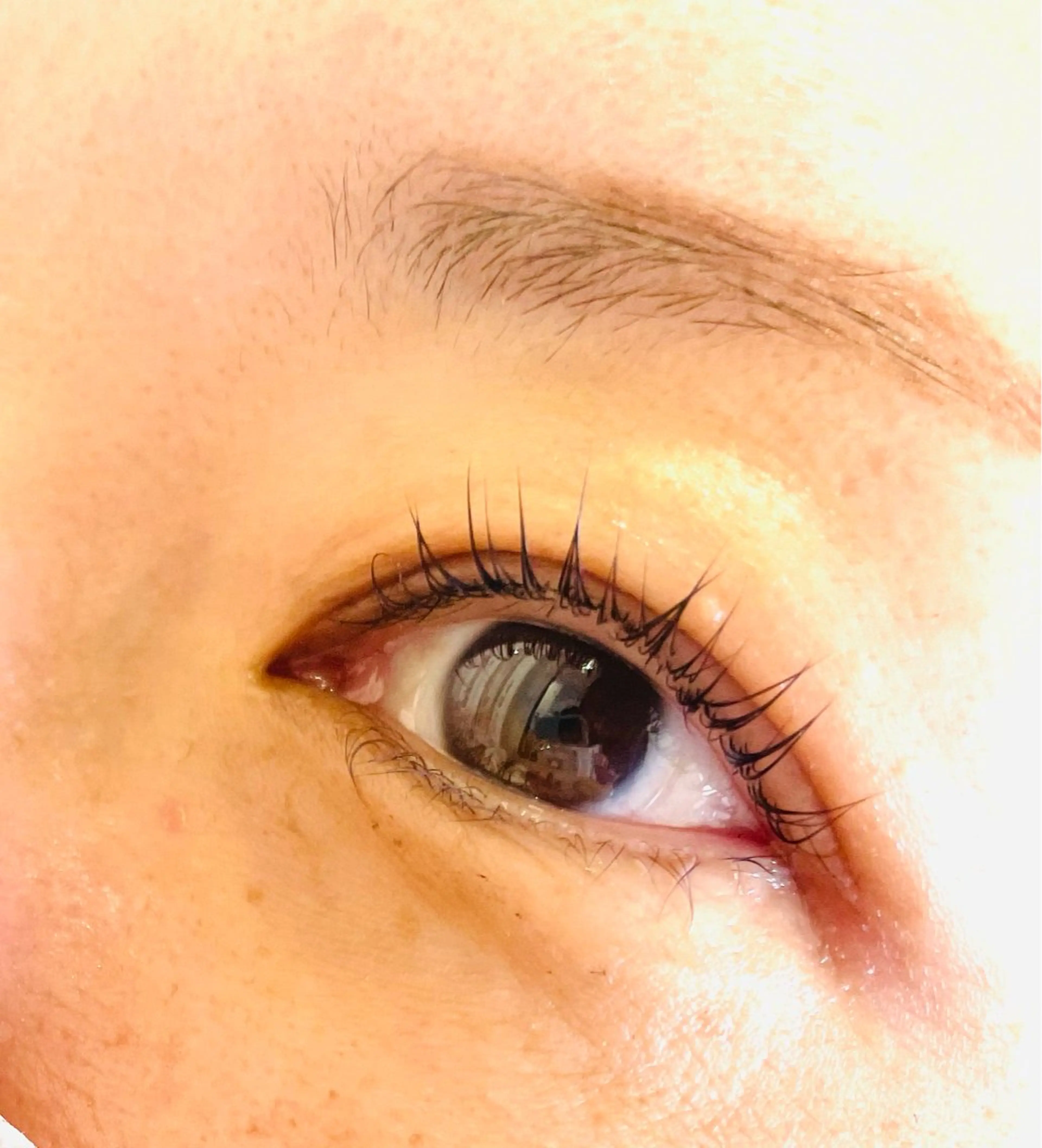 マツエク・マツパ 一重×まつ毛パーマ Any eyelash＆hair所属・Any eyelashのマツエク・マツパデザイン