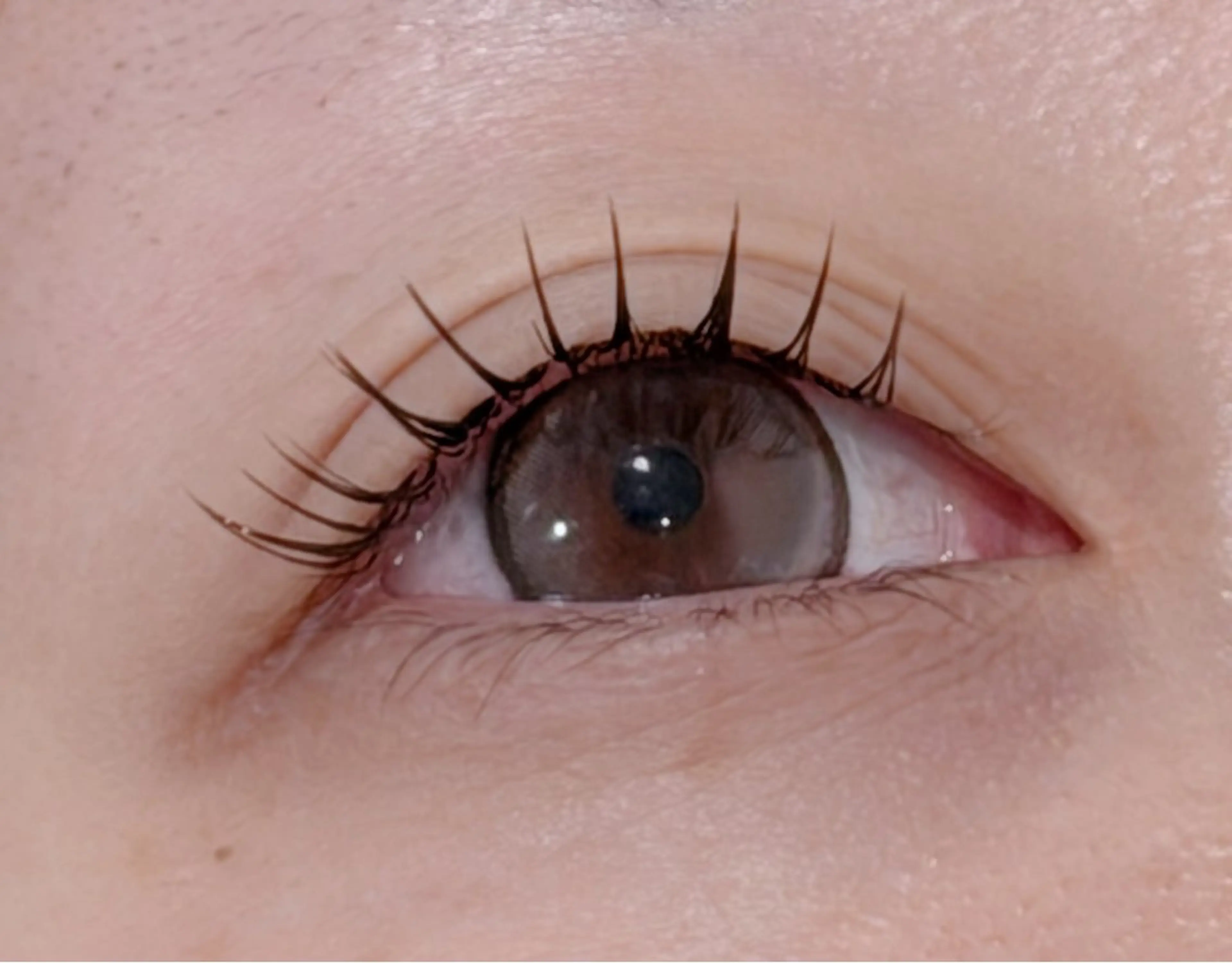 【まつ毛パーマ＋フラットラッシュ100本】3回までご利用いただけます✨の写真