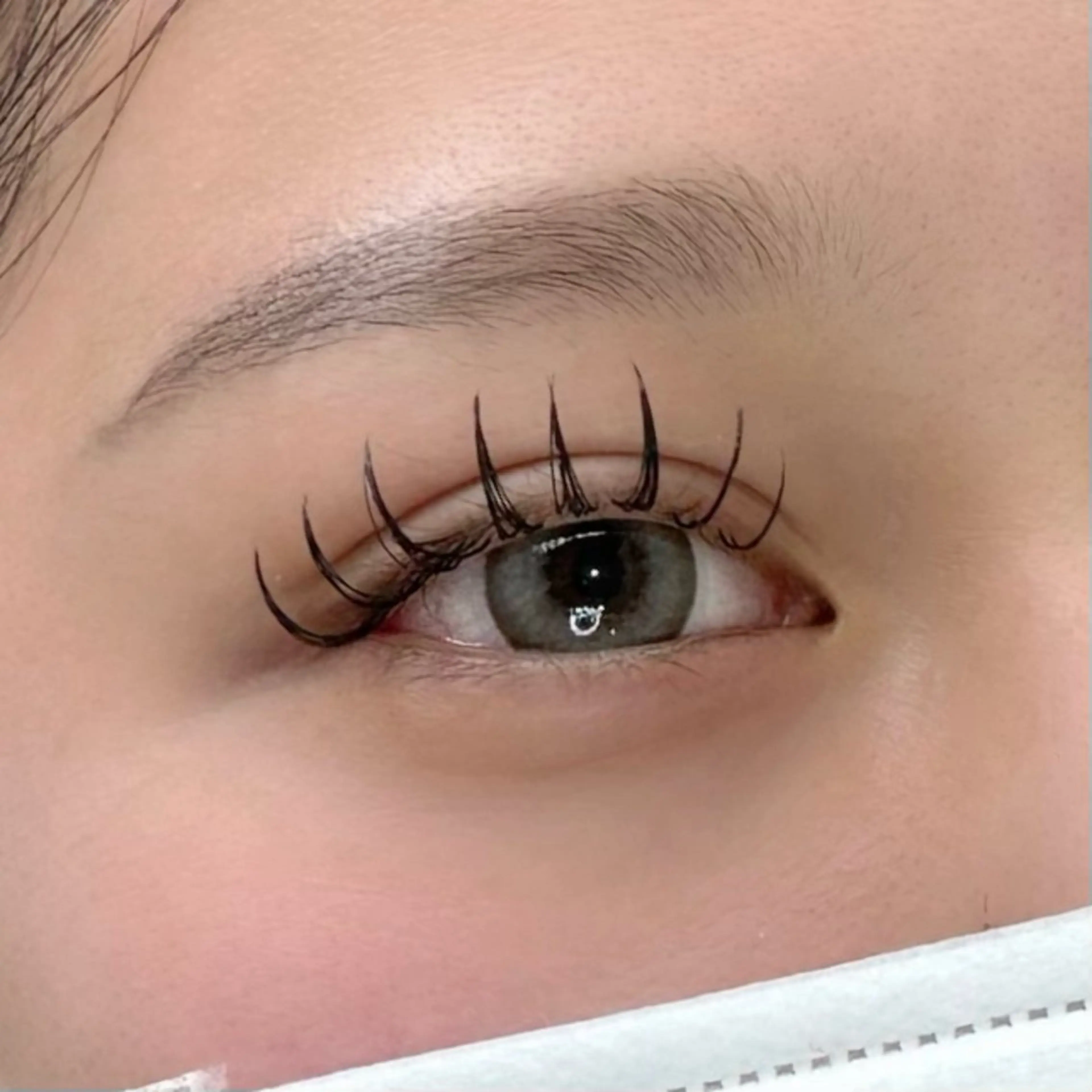 Wフラット🧡60束(120本)の写真