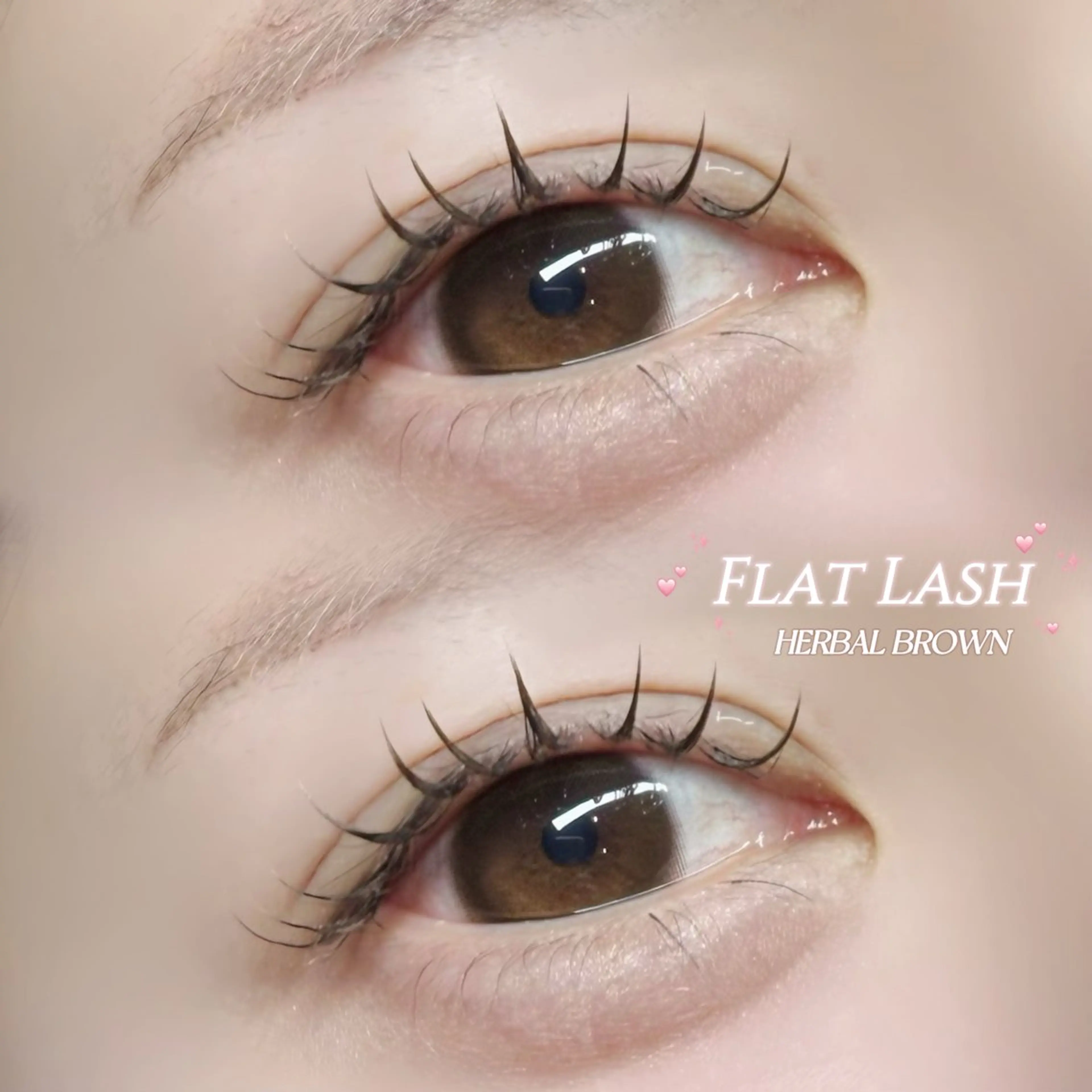 マツエク・マツパ カラーマツエク col eyelash maruyama所属・🩶 col Reina🩶のマツエク・マツパデザイン