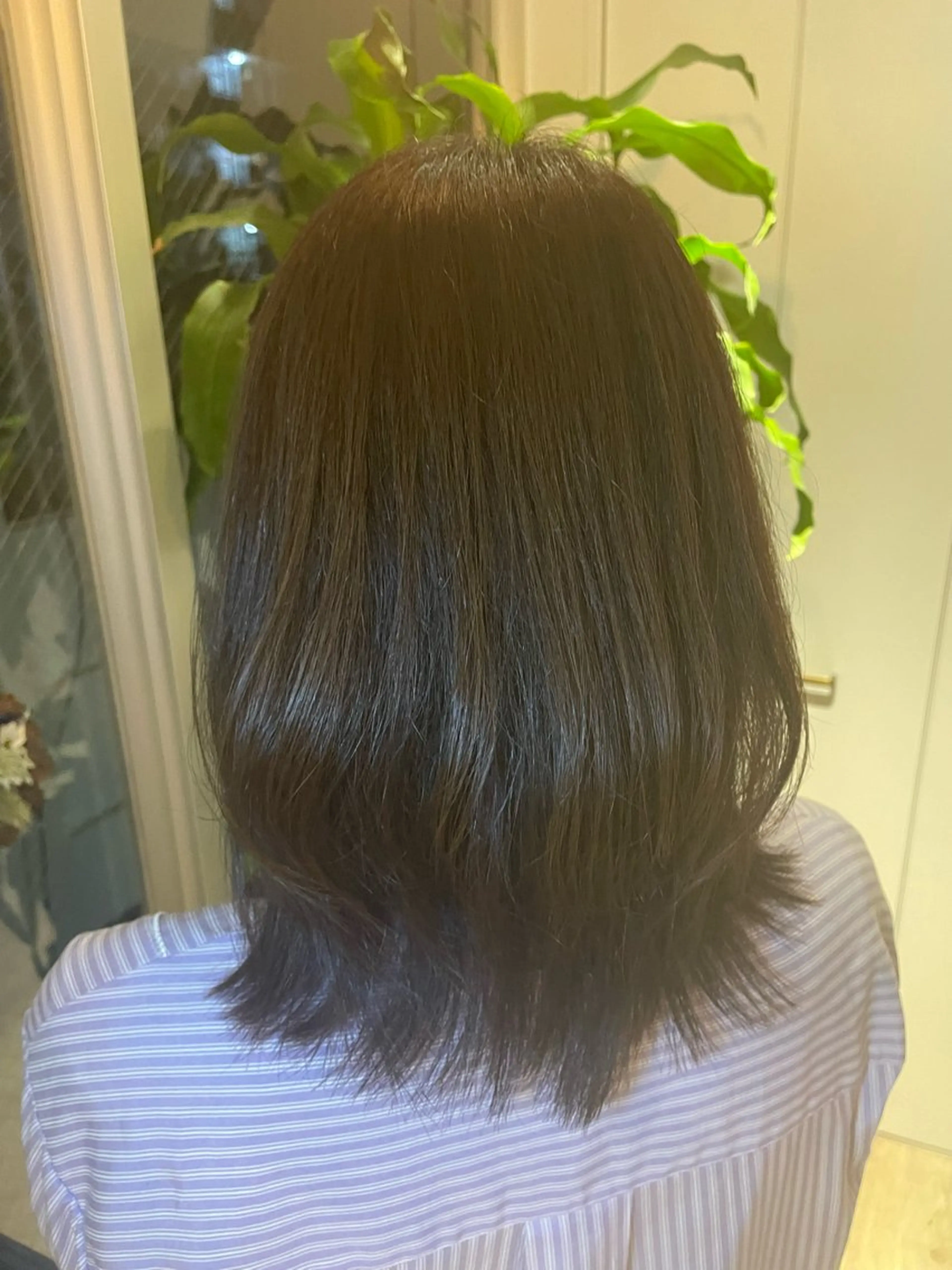 ミディアム diar湘南台店所属・ふくだももこ🍑 つるっとボブのヘアスタイル