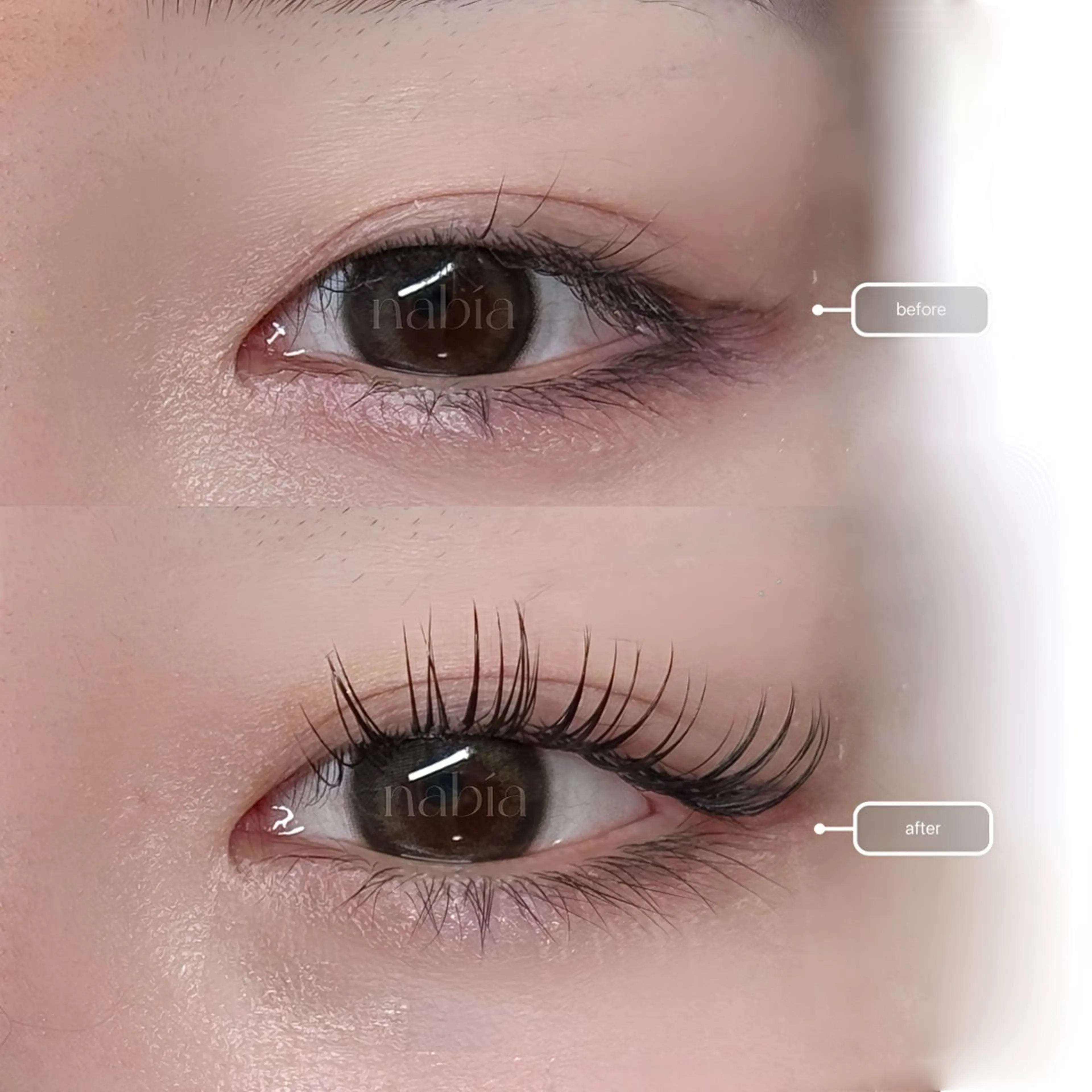 マツエク・マツパ マツエク nabía 上石神井のマツエク・マツパデザイン