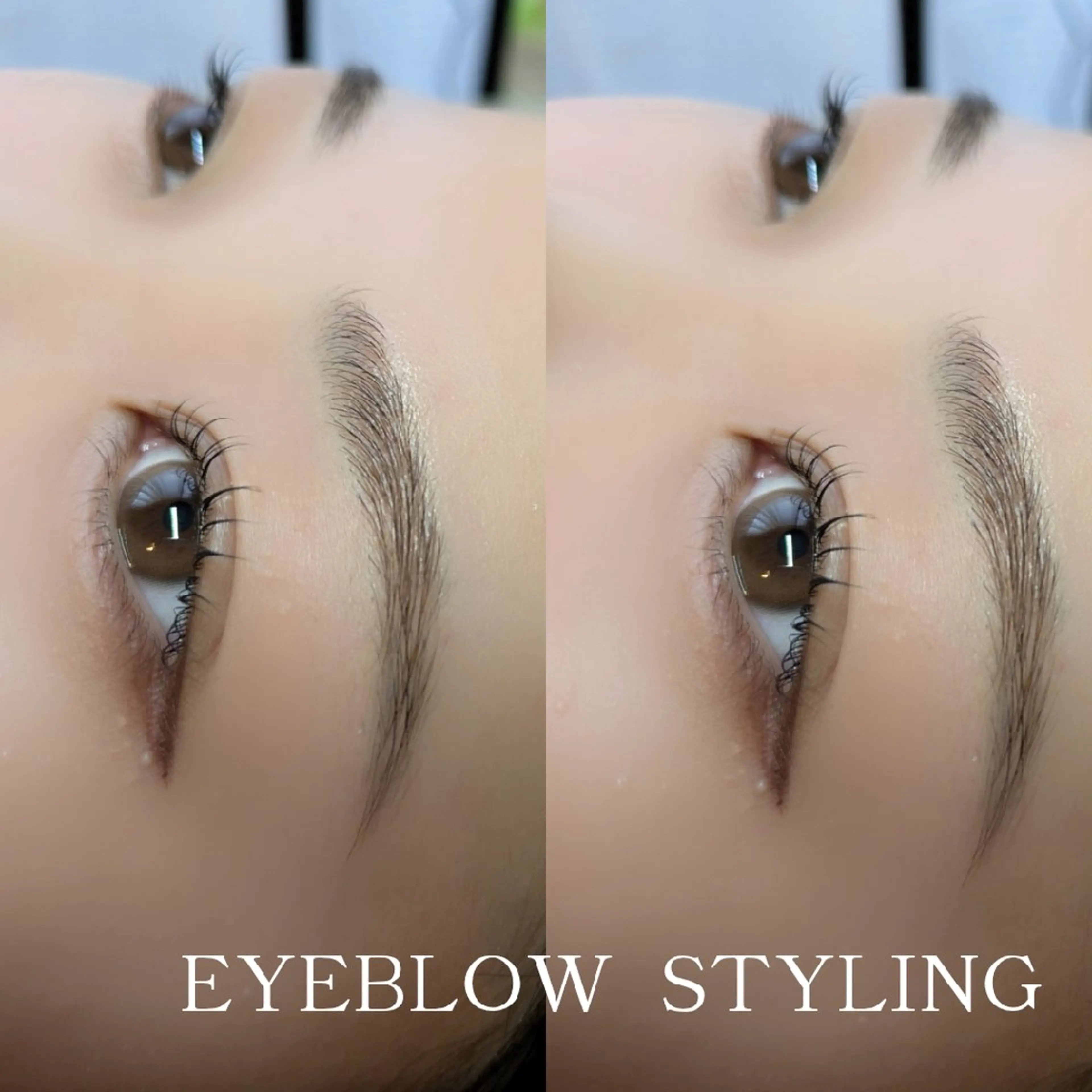 アイブロウスタイリング【ワックス脱毛+毛量調整】の写真
