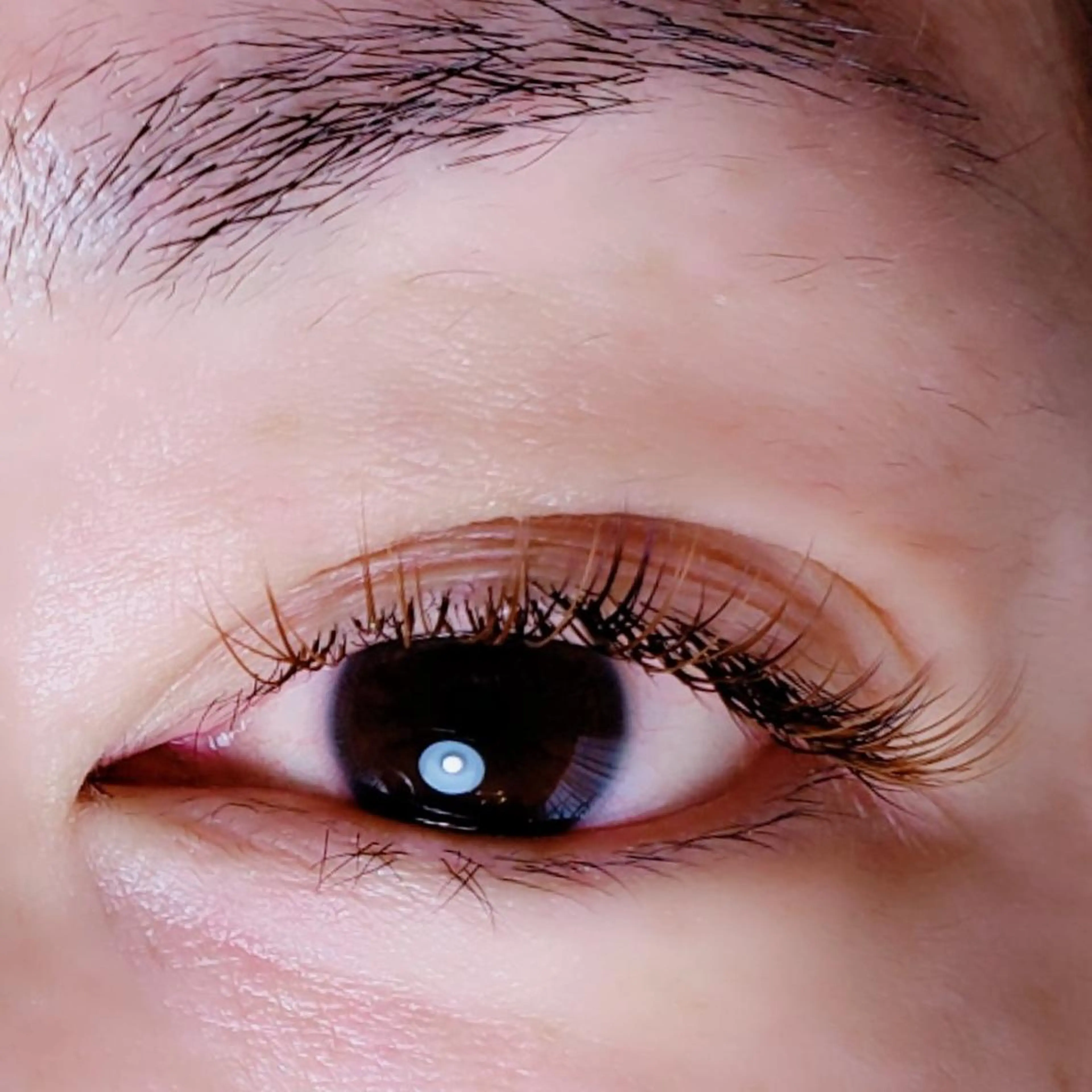 マツエク・マツパ Rouge ・ K  　のマツエク・マツパデザイン