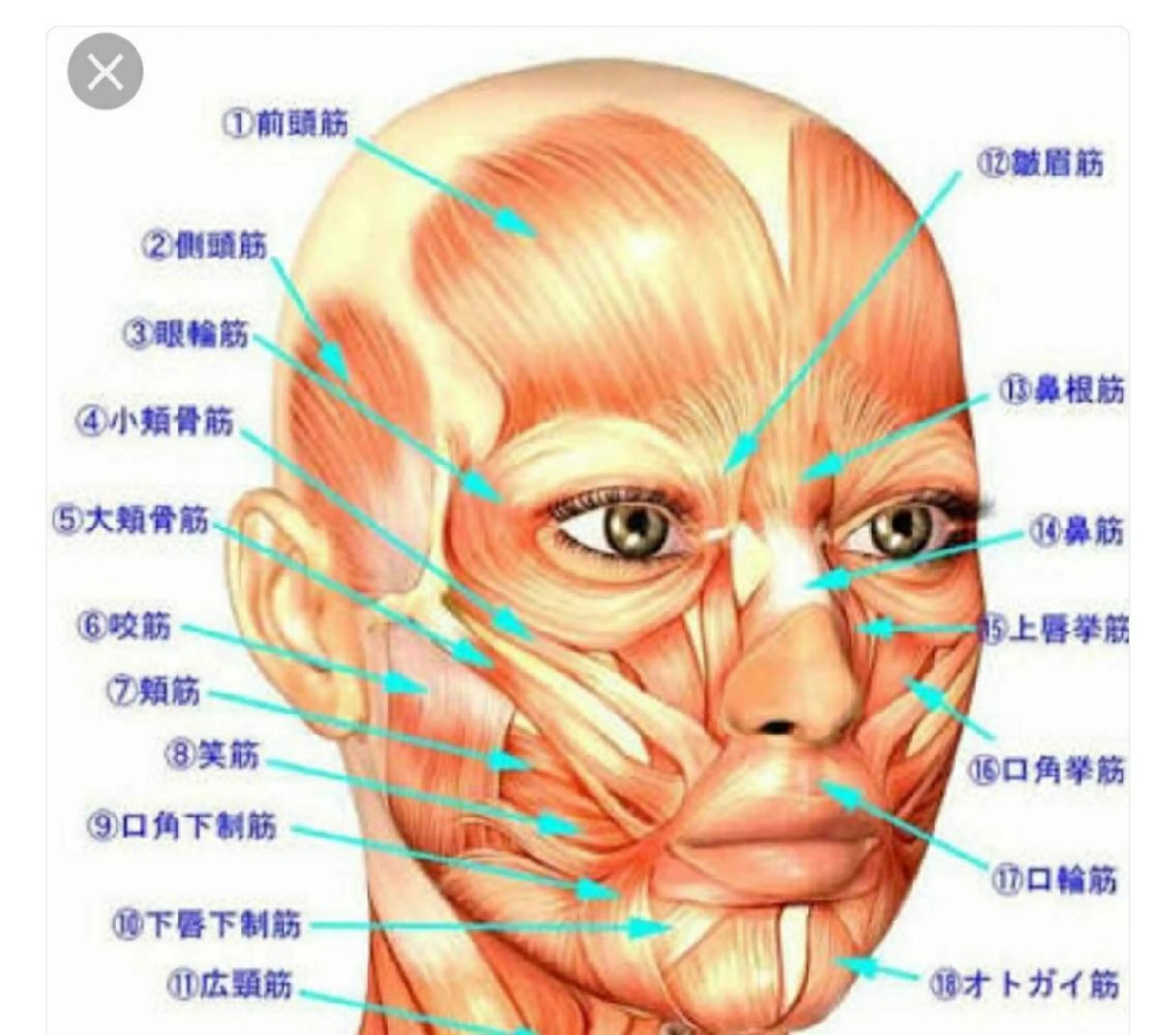 エステ パールフェイスエステティック所属・パールフェイスエステ かおるのエステ・リラクイメージ