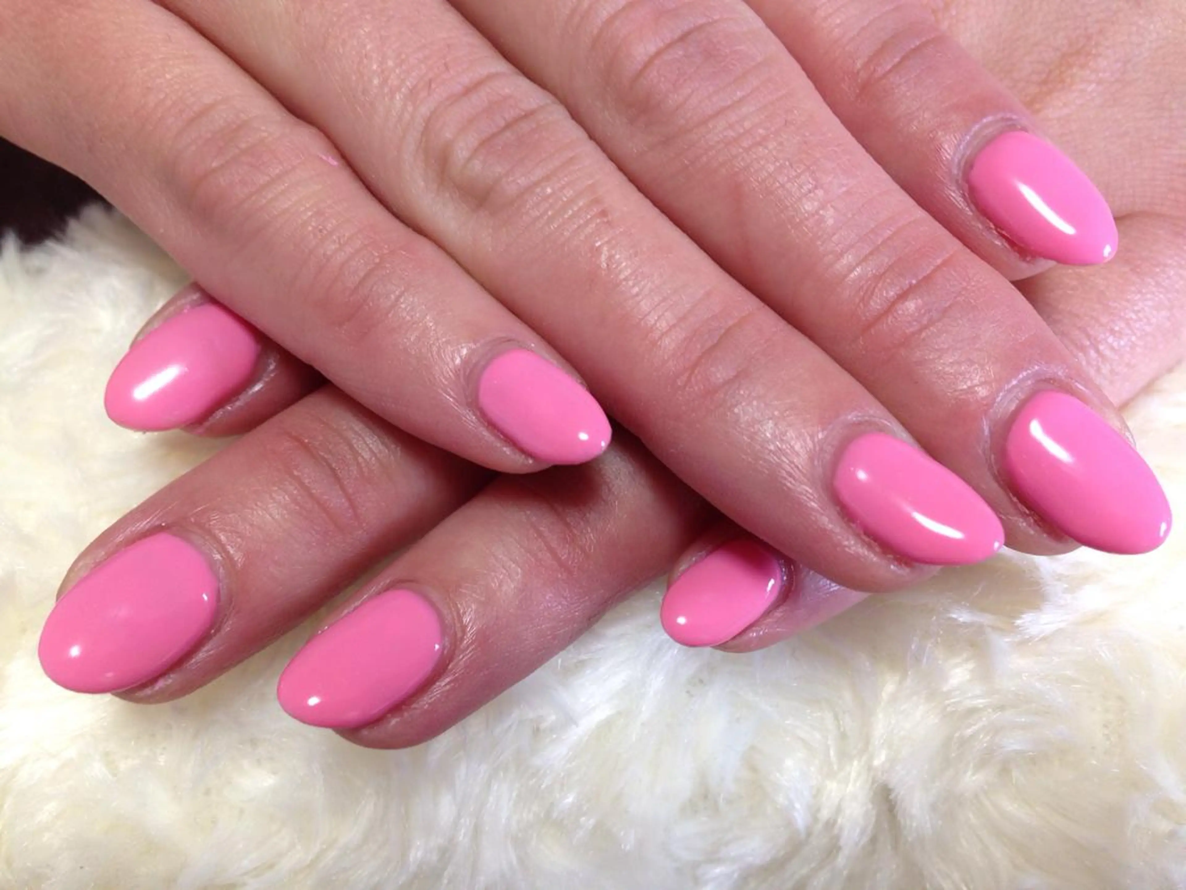 ワンカラーの写真