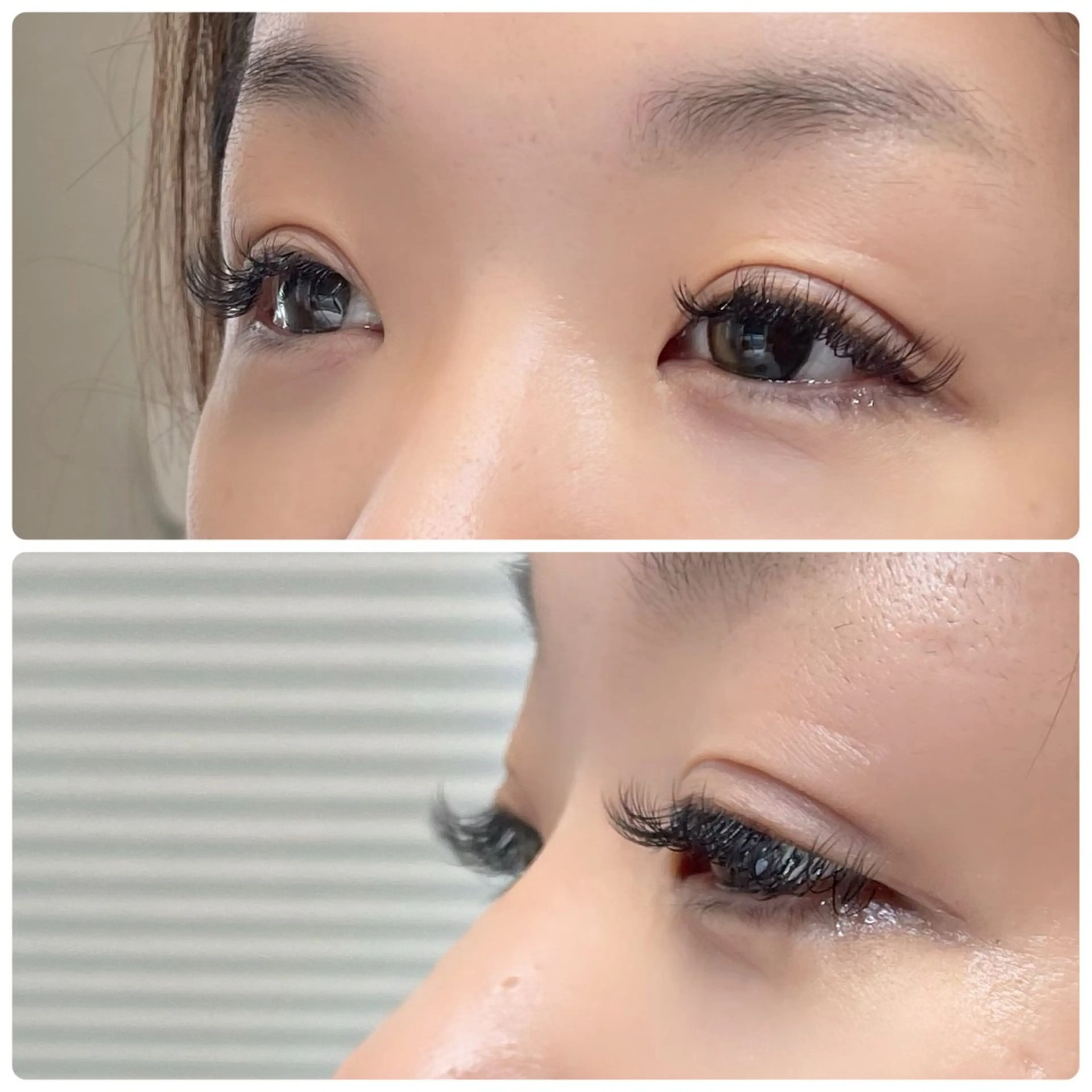 フラットラッシュ120本の写真