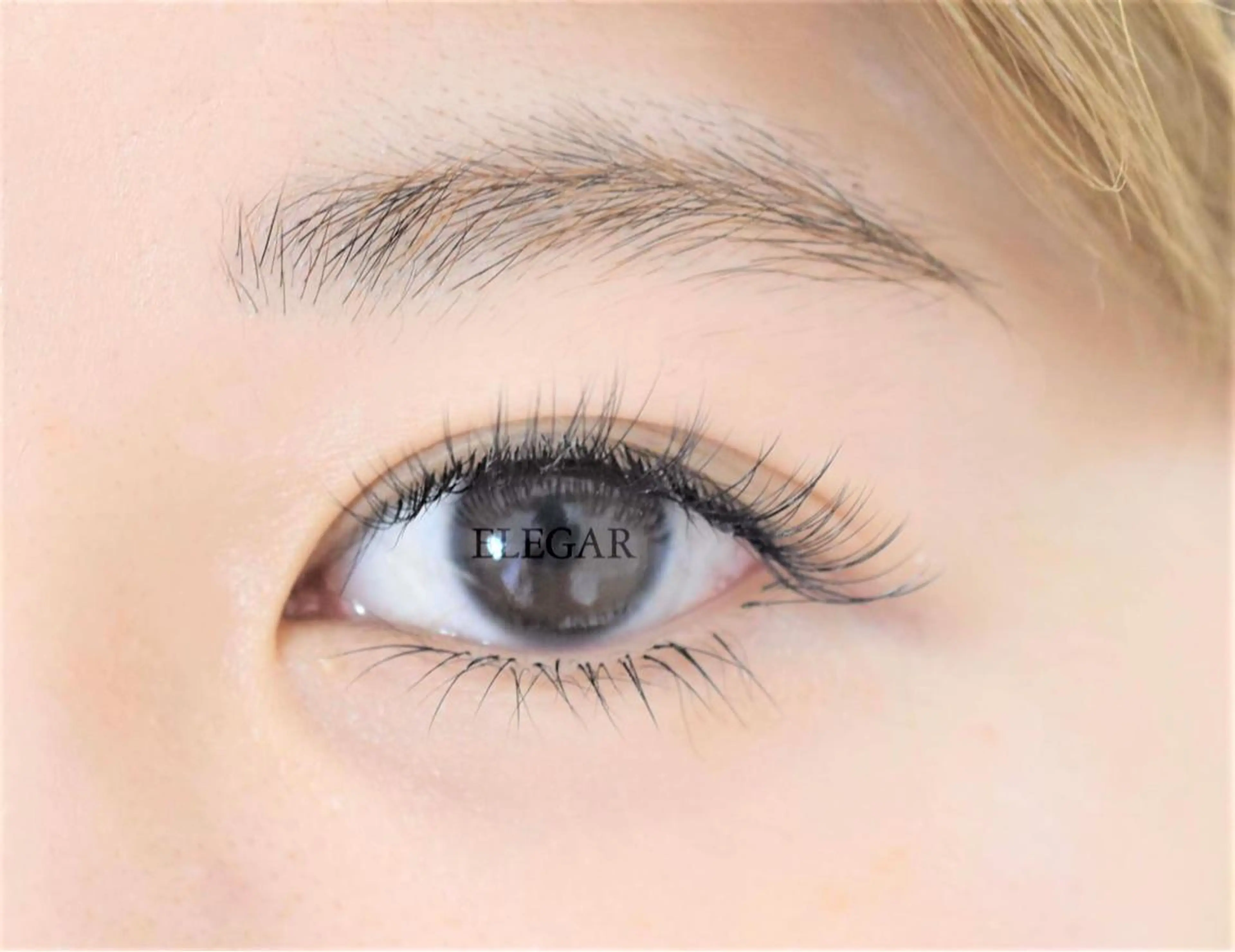 マツエク・マツパ ボリュームラッシュ ELEGAR 武蔵小杉のマツエク・マツパデザイン