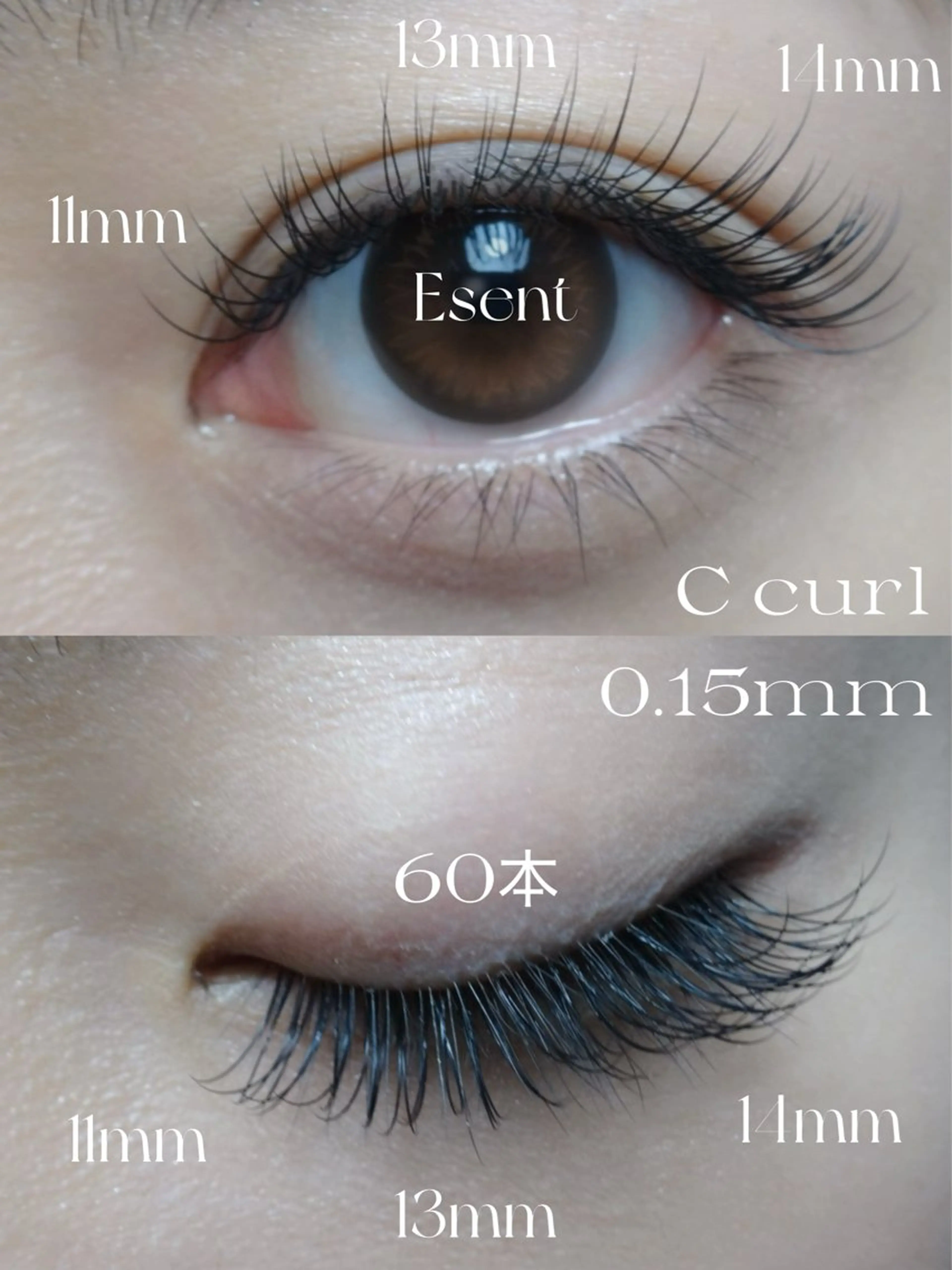 マツエク・マツパ マツエク Total Beauty Esent所属・Esent🎀 Hiiのマツエク・マツパデザイン