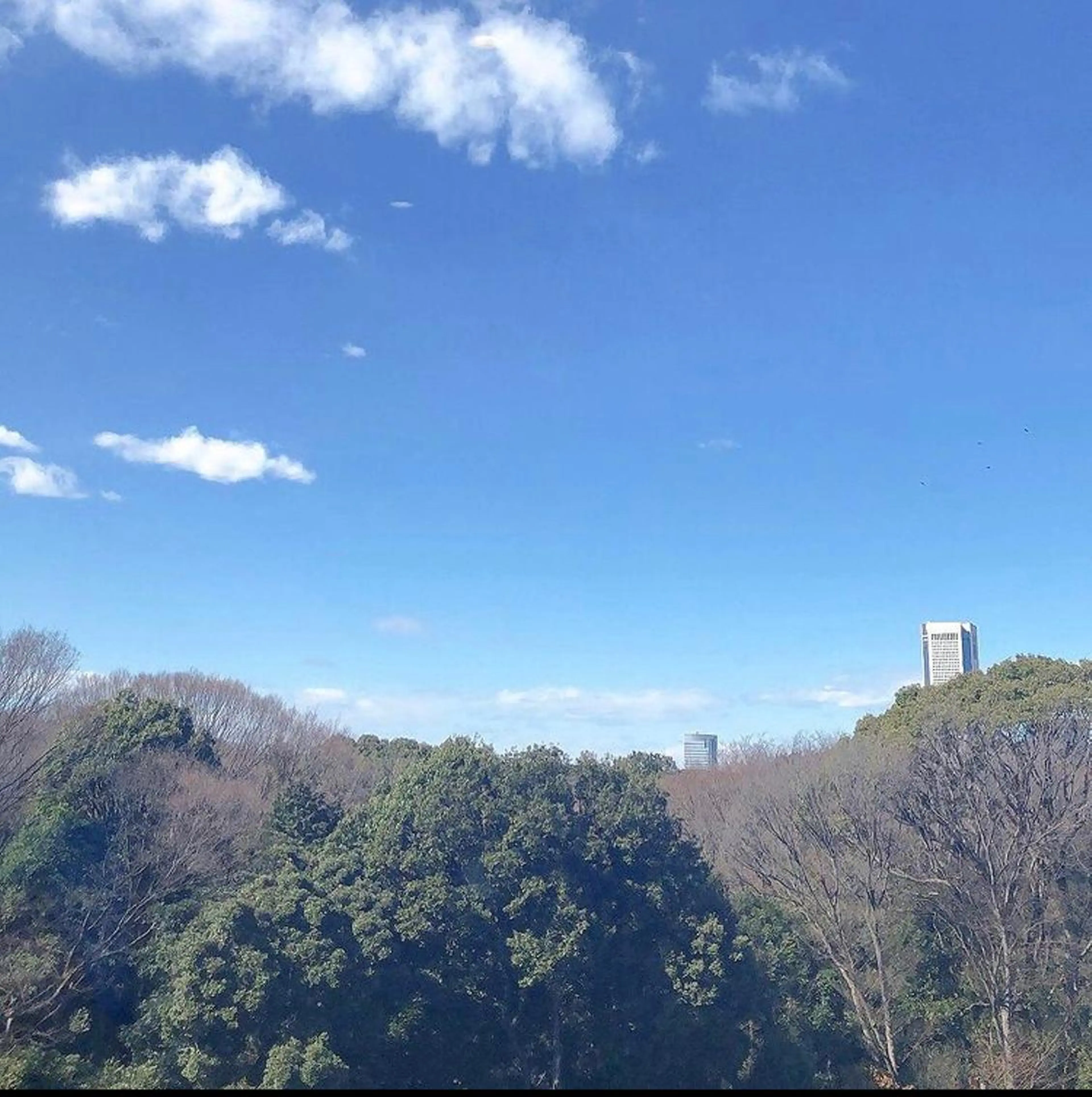 ミディアム カラー パーマ ヘアアレンジ メンズ キッズ カット ヘアカラー トリートメント GOTODAY SHAiRE SALON (原宿本店)所属・stylist 🎀 kanaのその他イメージ