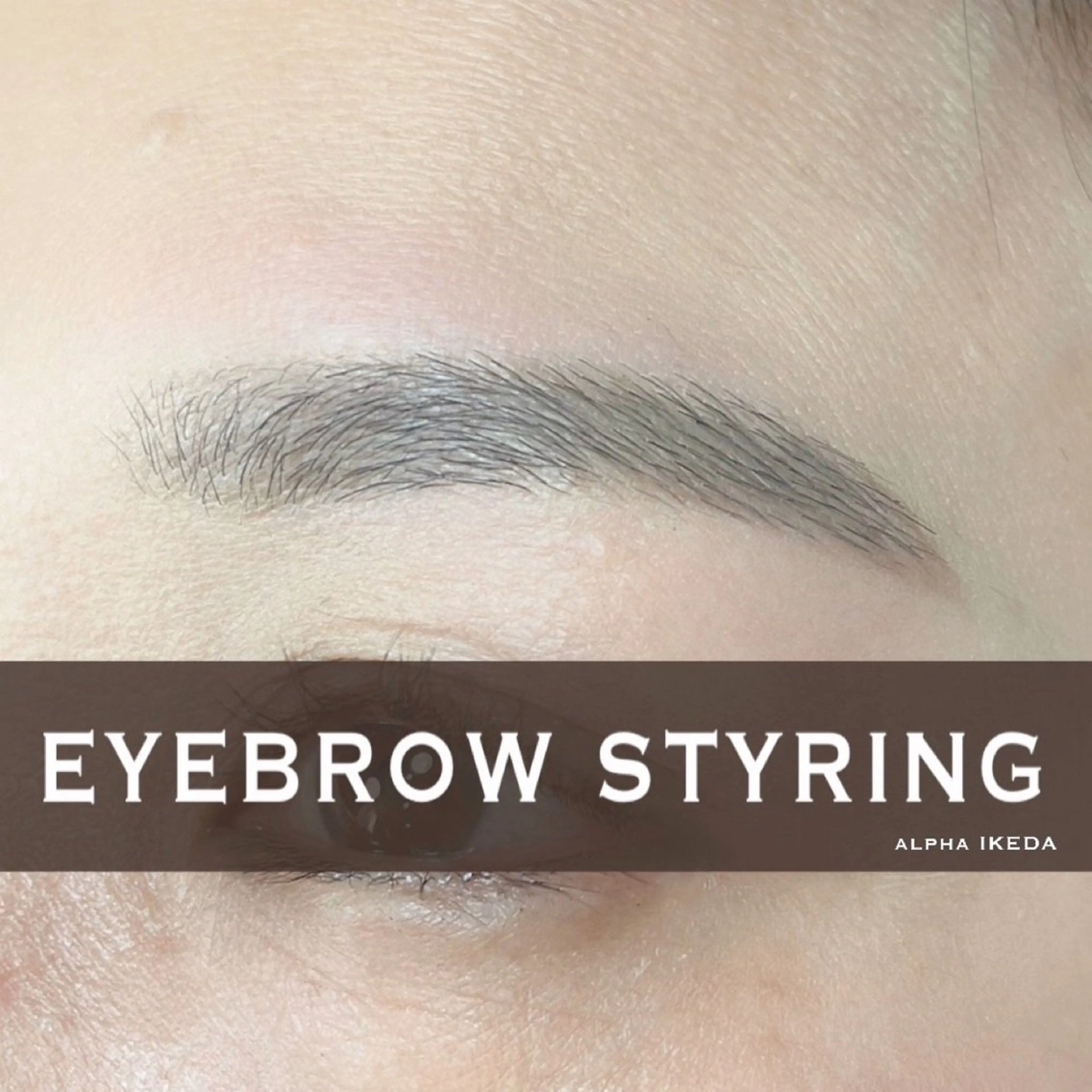 アイブロウ alpha所属・alpha IKEDAの眉毛・アイブロウイメージ