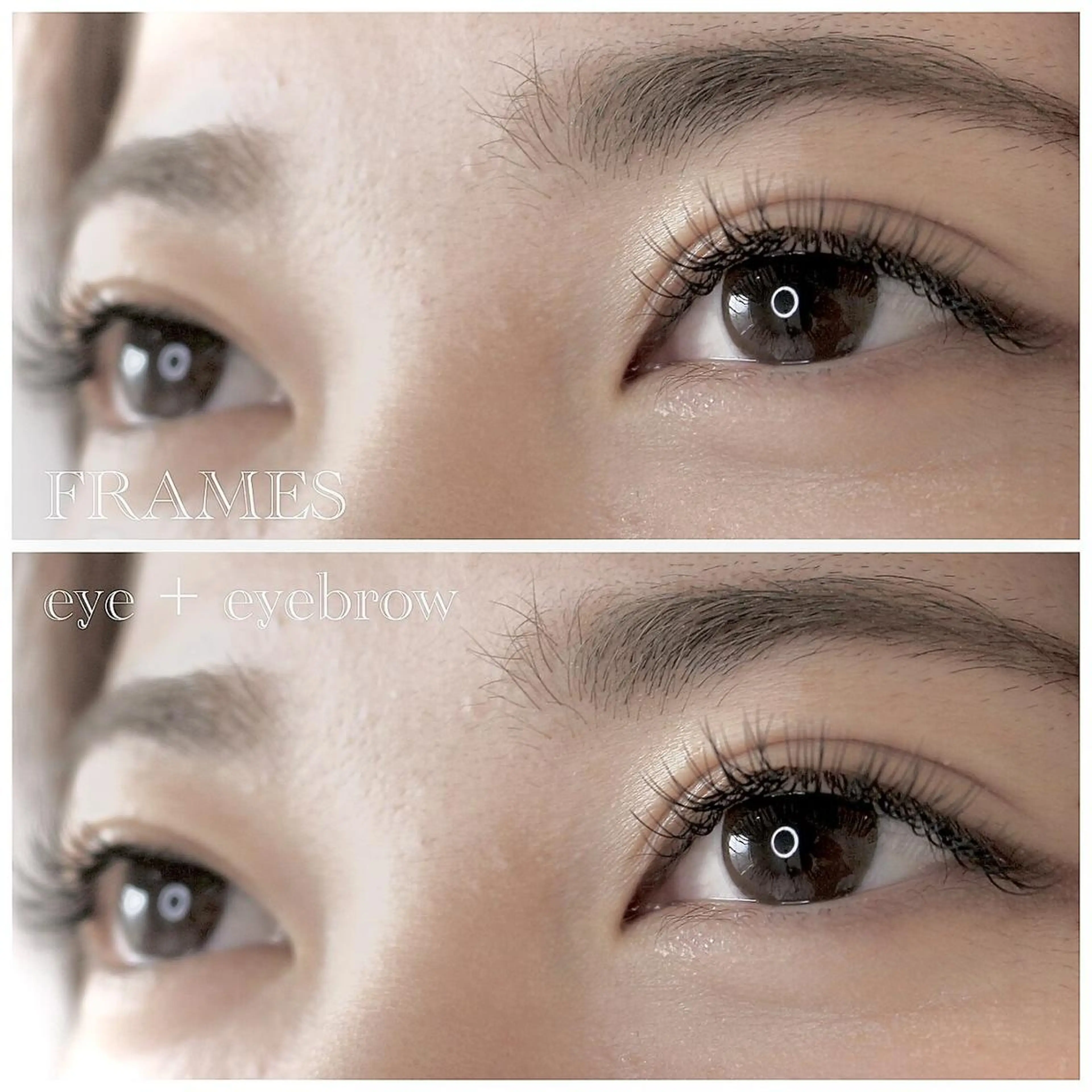 『ご新規様』フラットマットラッシュ100本の写真