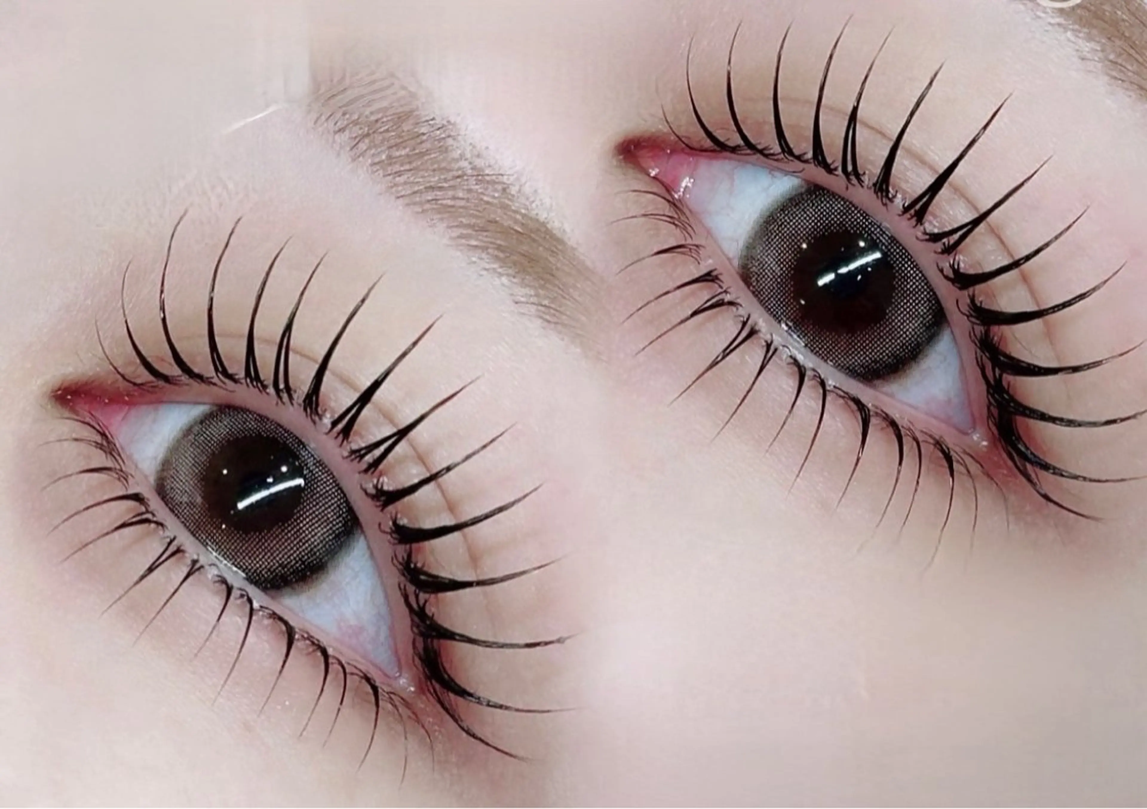 💓特別価格💓韓国アイドル風ラッシュリフト上＋下まつ毛20本の写真