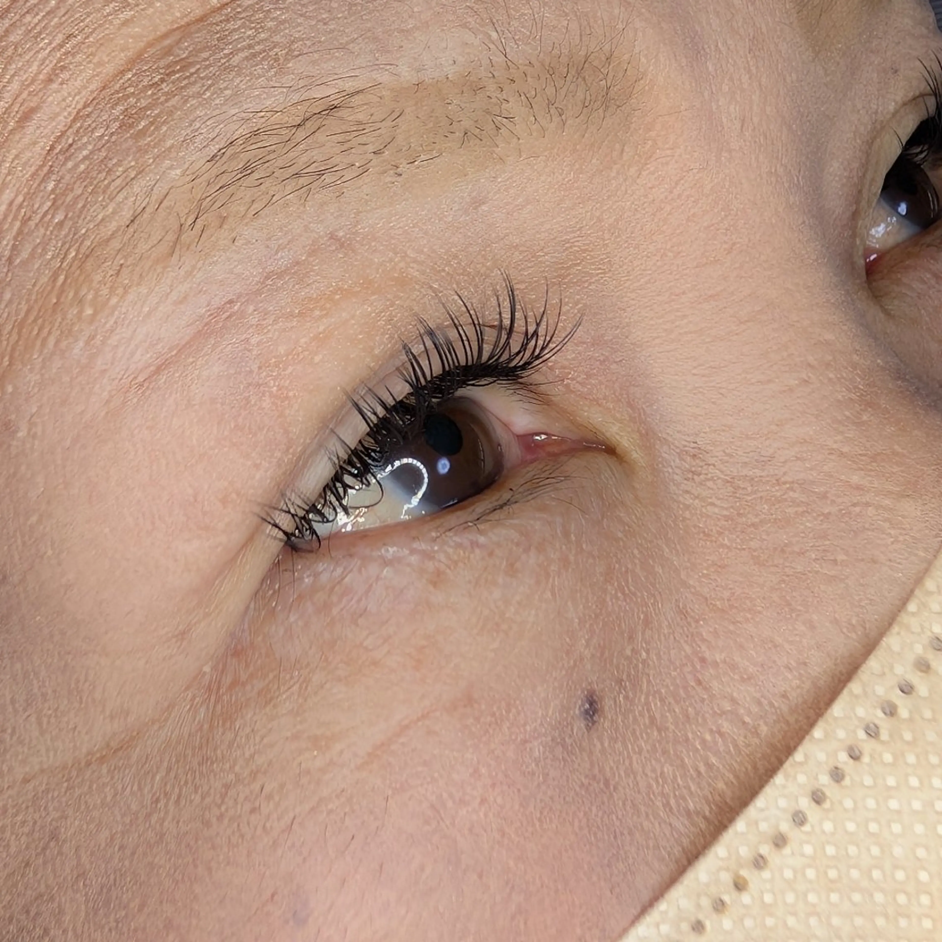 マツエク・マツパ フラットラッシュ マツエク EYELASH lino　合志市のマツエク・マツパデザイン