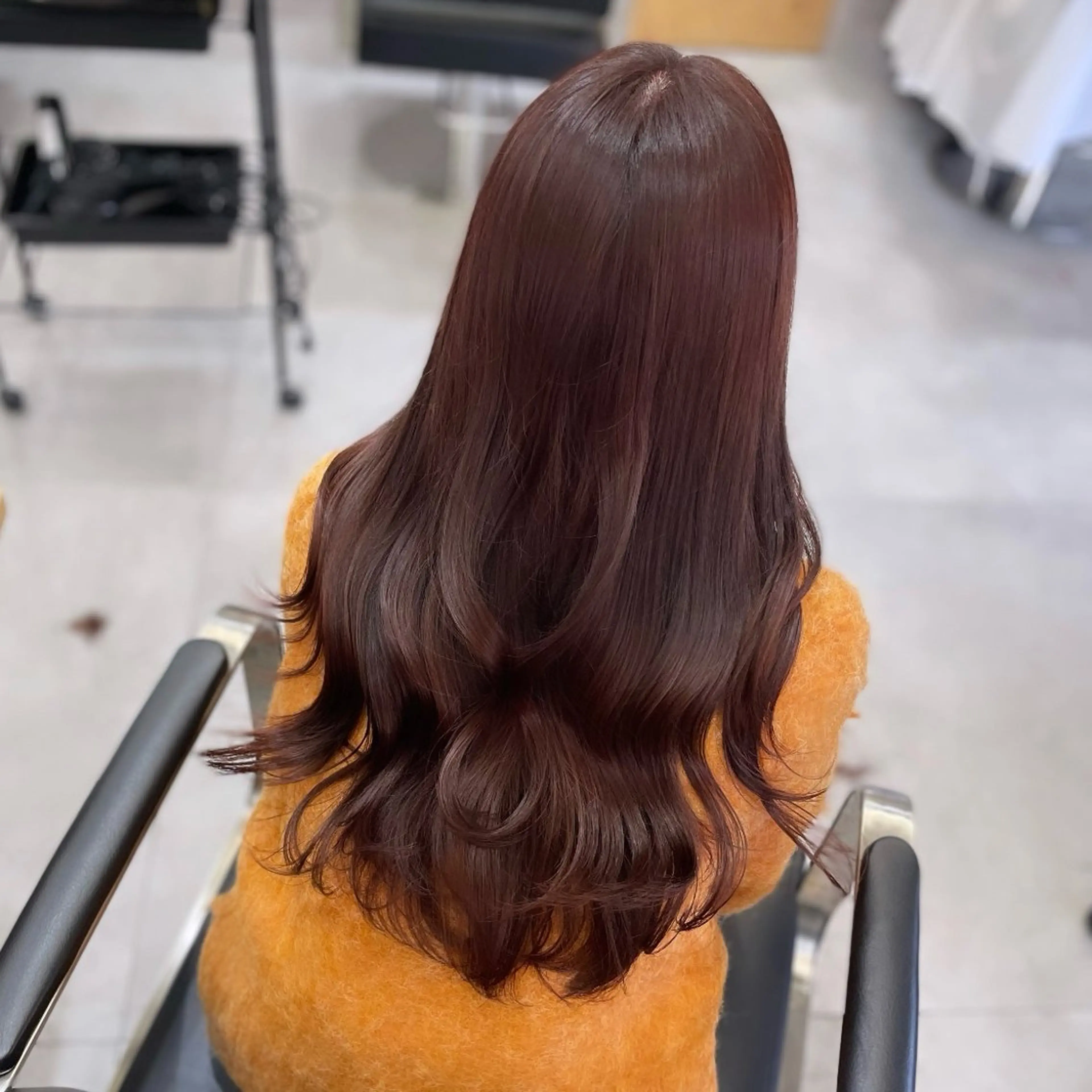 ロング カラー ブリーチ ブラウンカラー ブリーチなしカラー レッドカラー レッドブラウン カット ヘアカラー Rui/透明感カラー 暖色/レイヤーカットのヘアスタイル