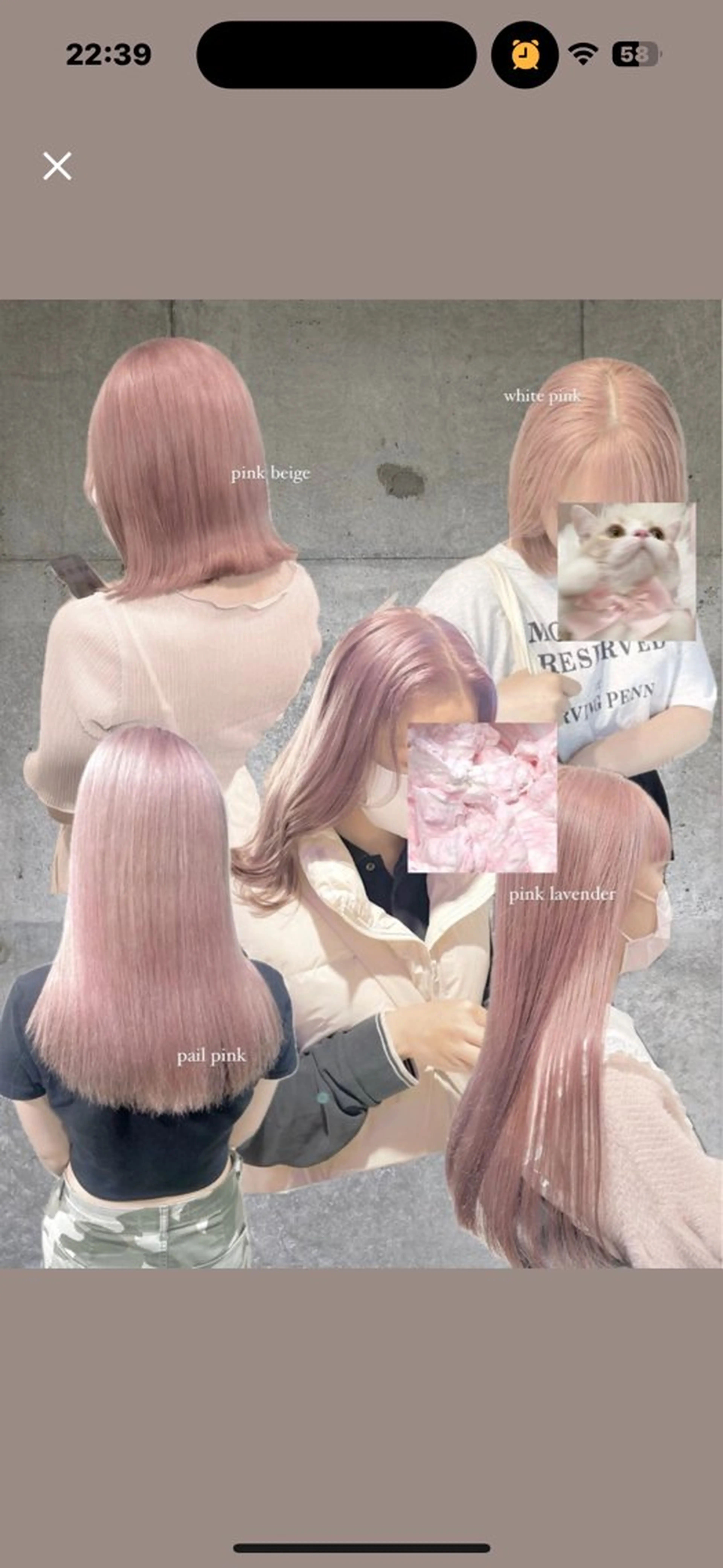 ロング カラー ヘアカラー 透明感カラー・レイヤ ー🎀amika🎀のヘアスタイル