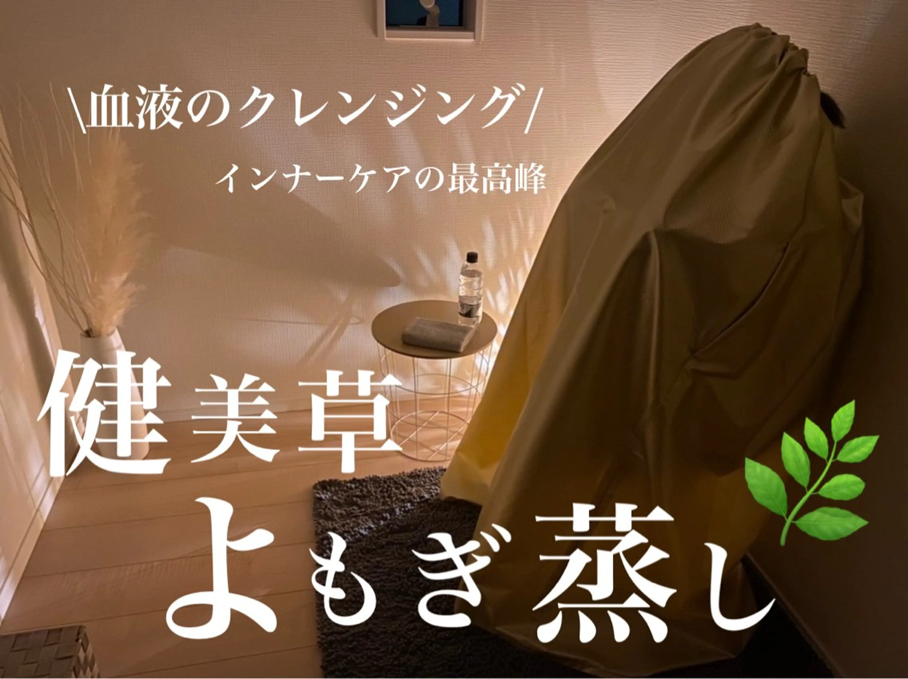 健美草よもぎ蒸しの写真