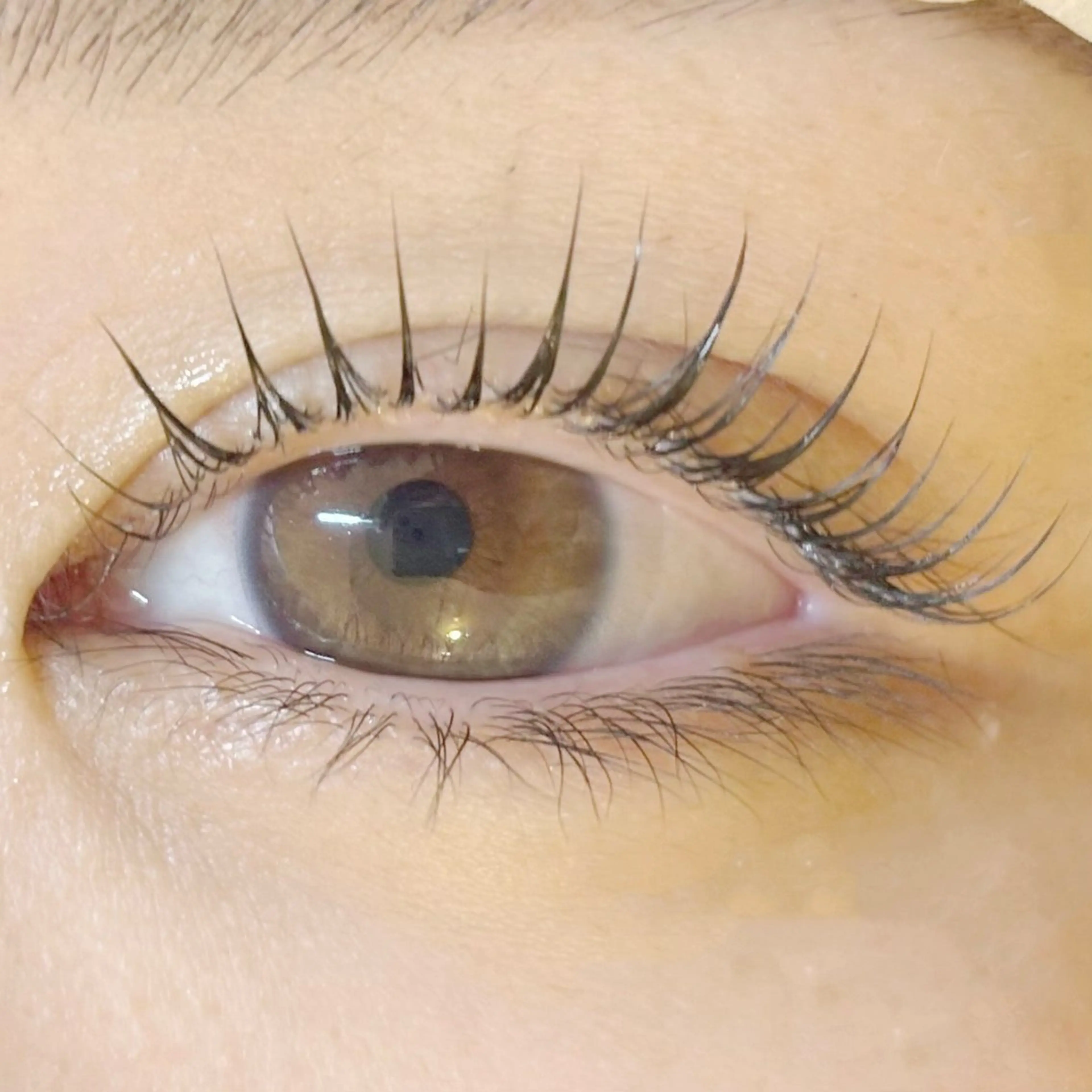 マツエク・マツパ 仙台まつ毛エクステサロンdesignK泉中央店所属・designK佐藤 心咲の眉毛・アイブロウイメージ