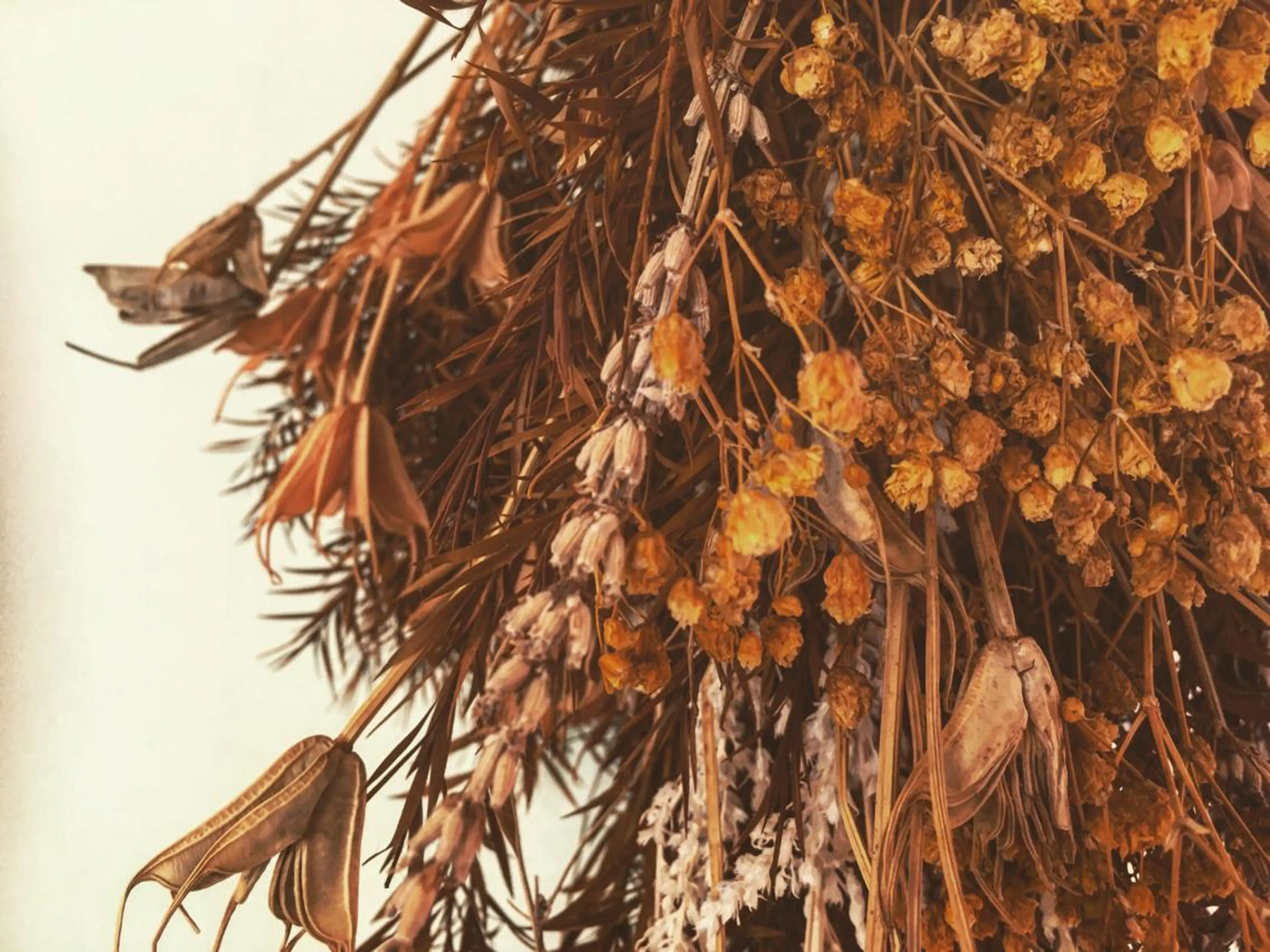 マツエク・マツパ utaeyelash所属・中川 朋美のマツエク・マツパデザイン