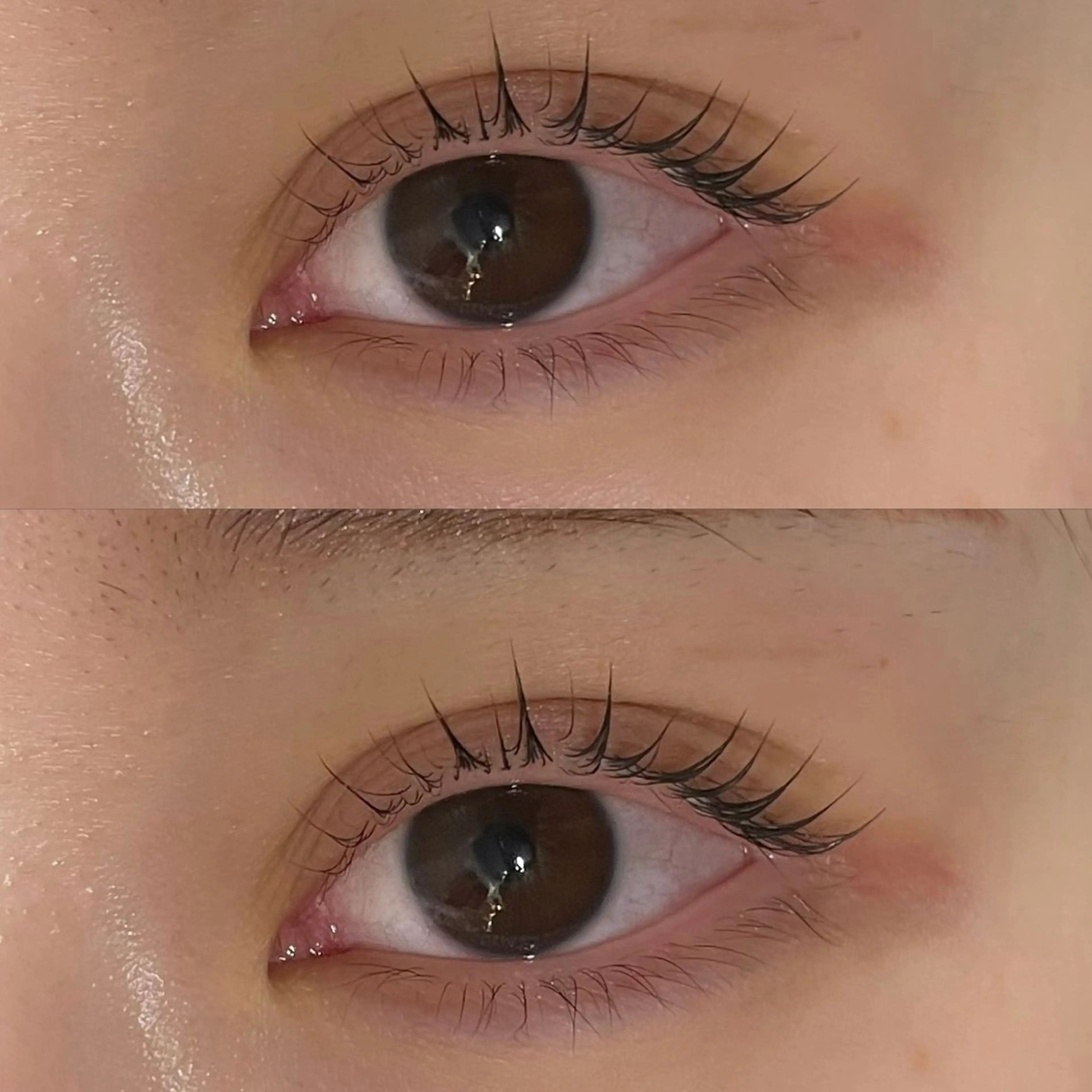 マツエク・マツパ Daisy🎀透け感 カラー🎀JUNAのヘアスタイル