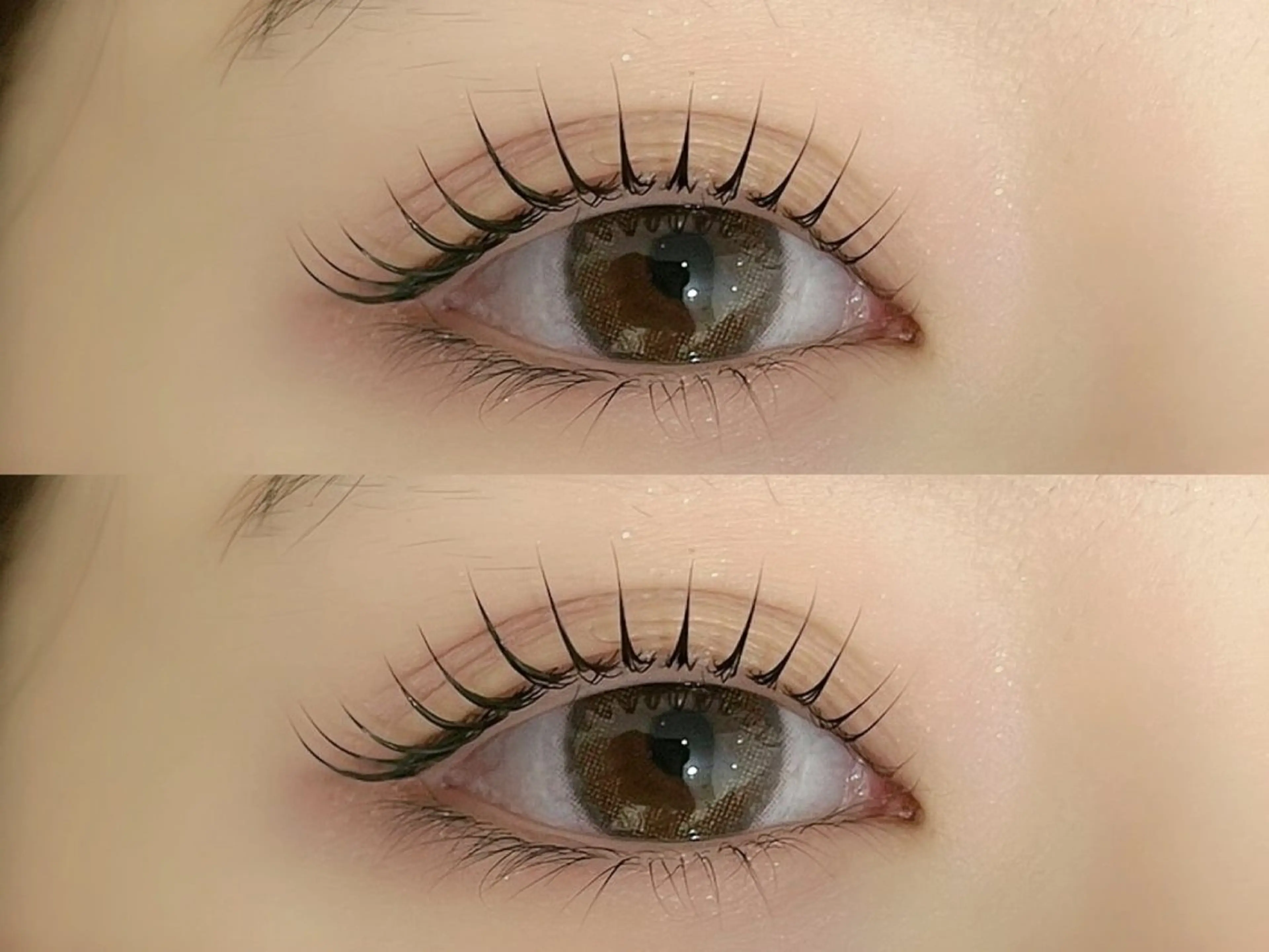 ‪🌱‬まつげパーマ‪🌱‬デザイン選べます𓂃🫧‪の写真