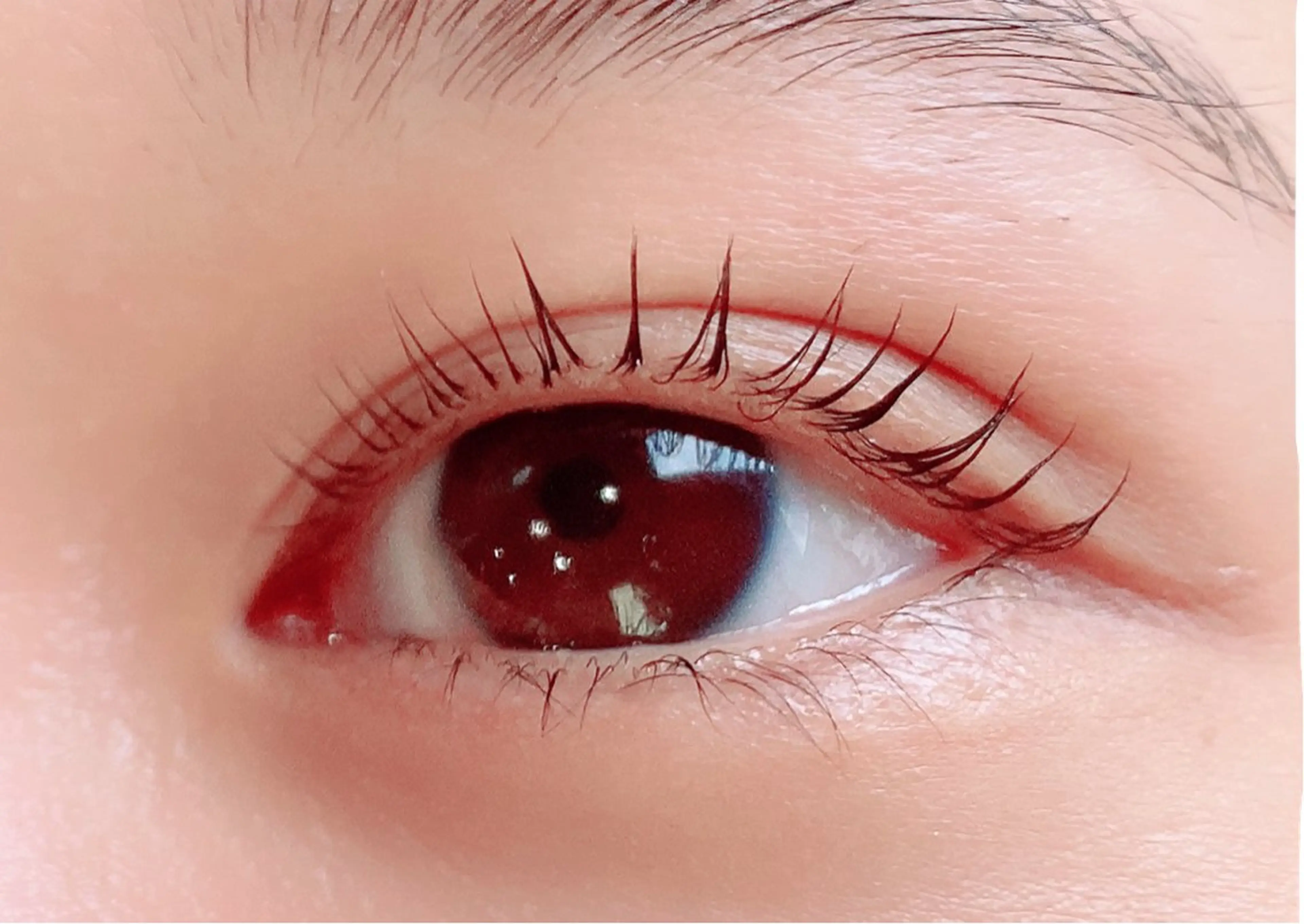 【新規様限定】選べる！✨まつ毛パーマorラッシュリフト（上のみ）の写真