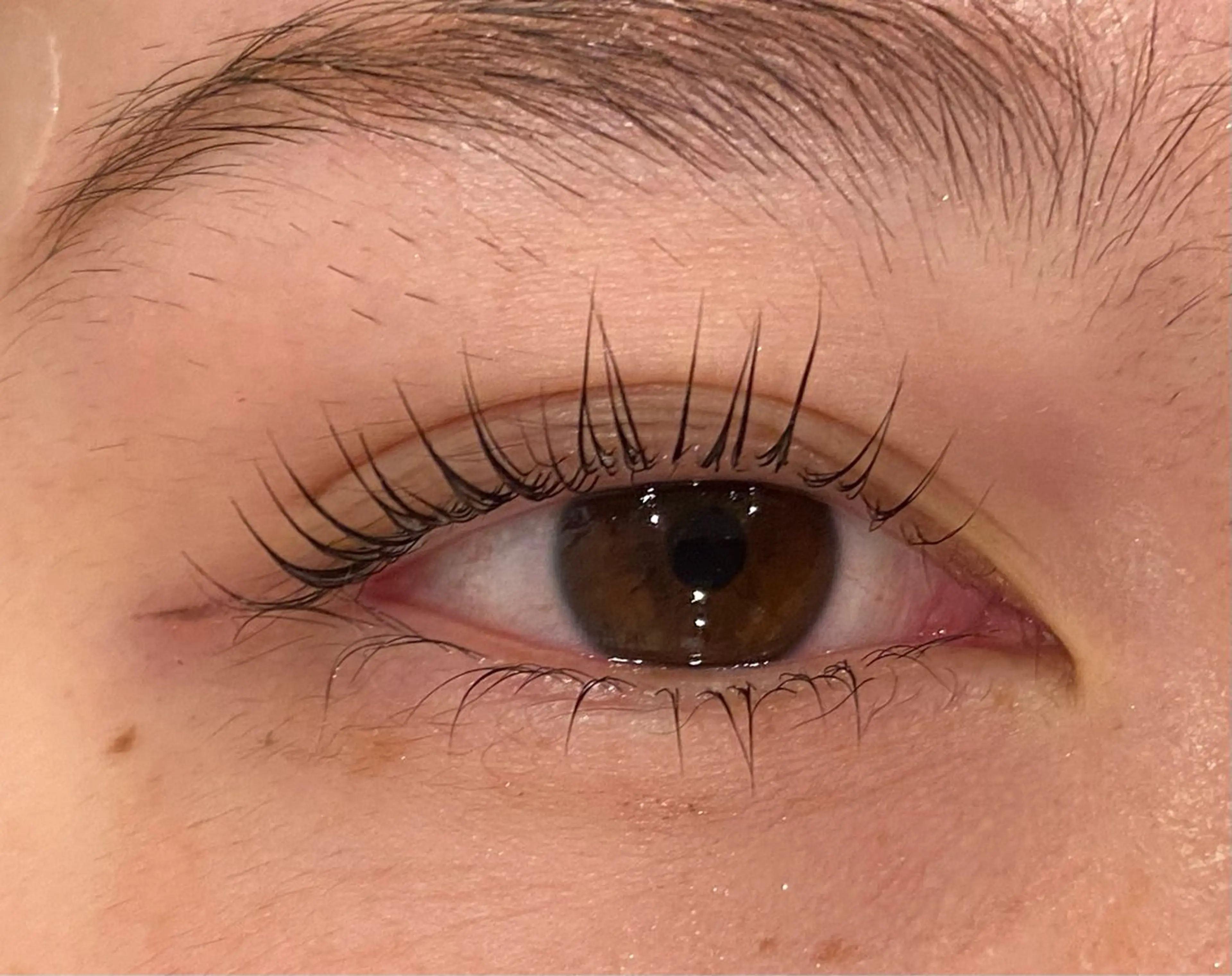 マツエク・マツパ Daisy lash 京橋店堀井のマツエク・マツパデザイン