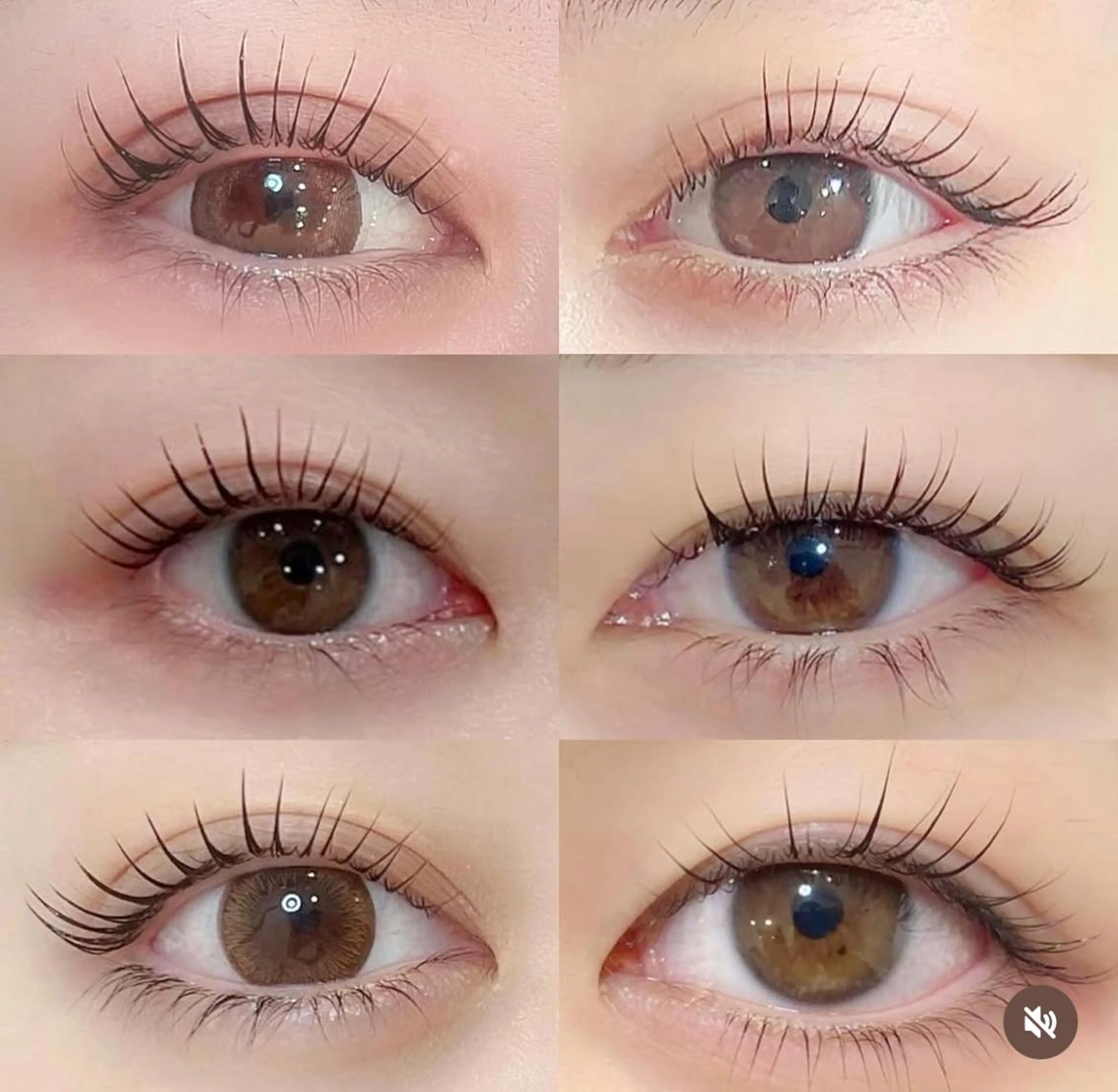 【火、木、金のみ当日限定　まつ毛パーマ】ラッシュリフト、韓国風束間、ナチュラルカールの写真