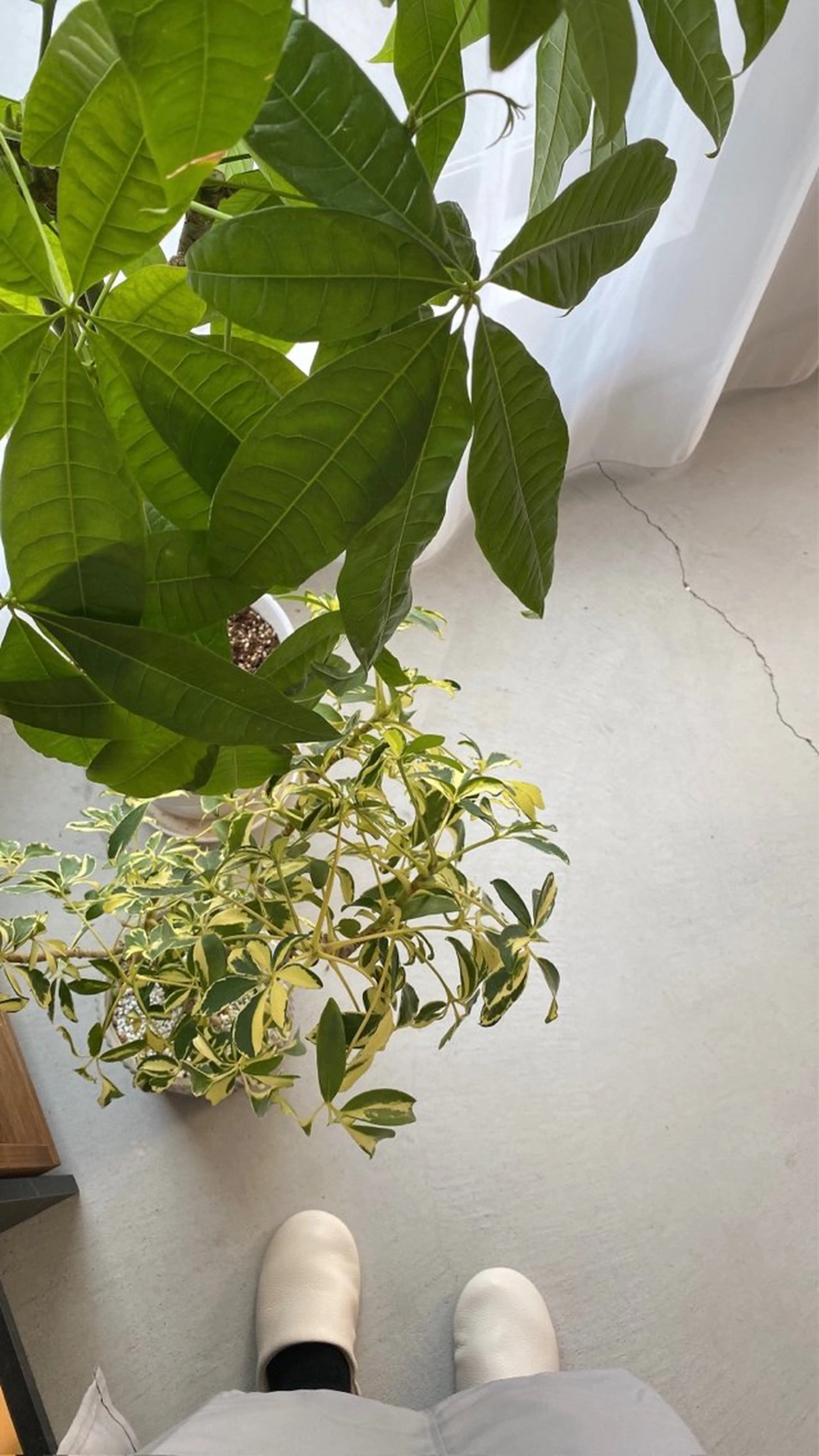 Retreatリトリート所属・歯科医院提携 Retreatのエステ・リラクイメージ