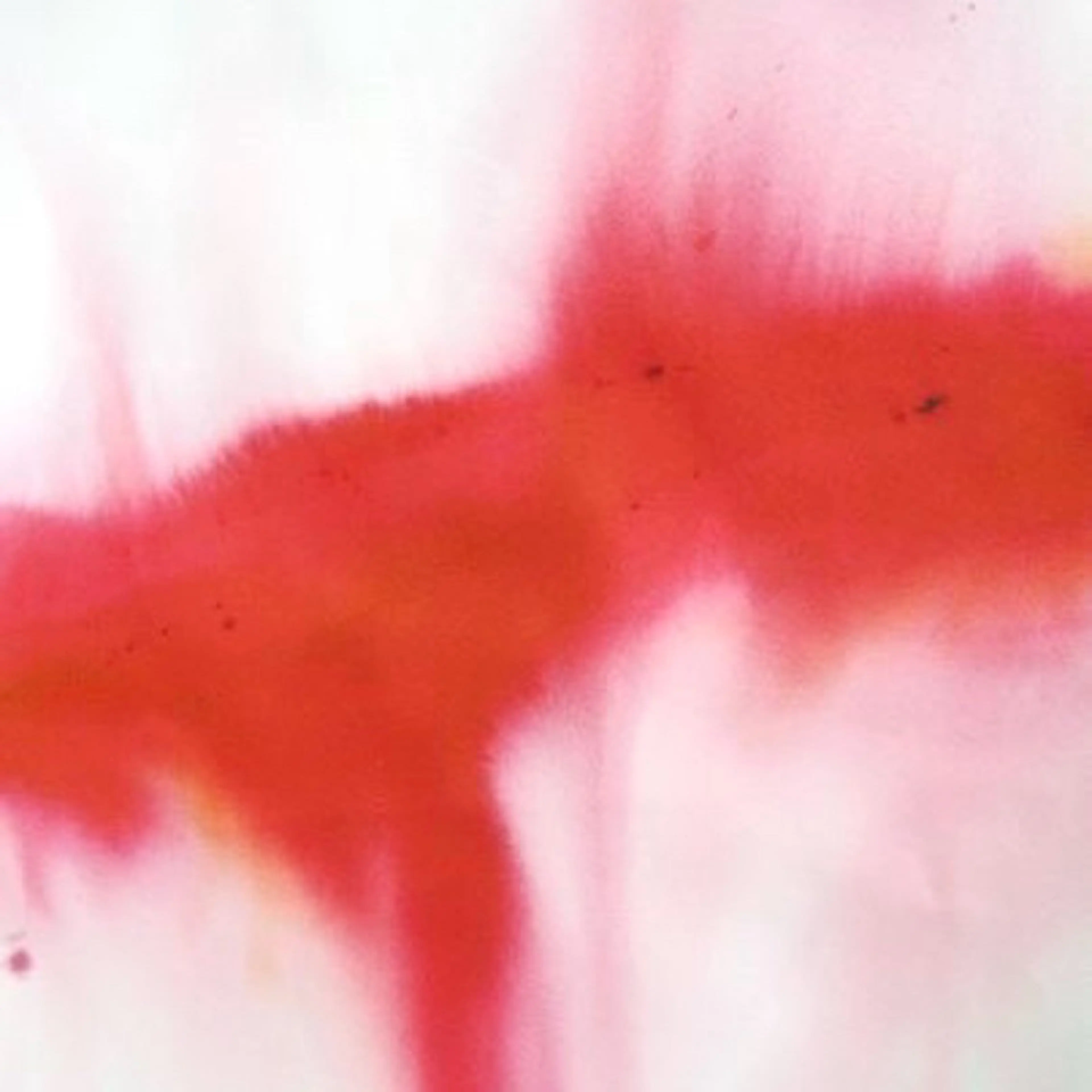 ショート カラー ☆RUO☆/レイヤー /ハイトーンのヘアスタイル