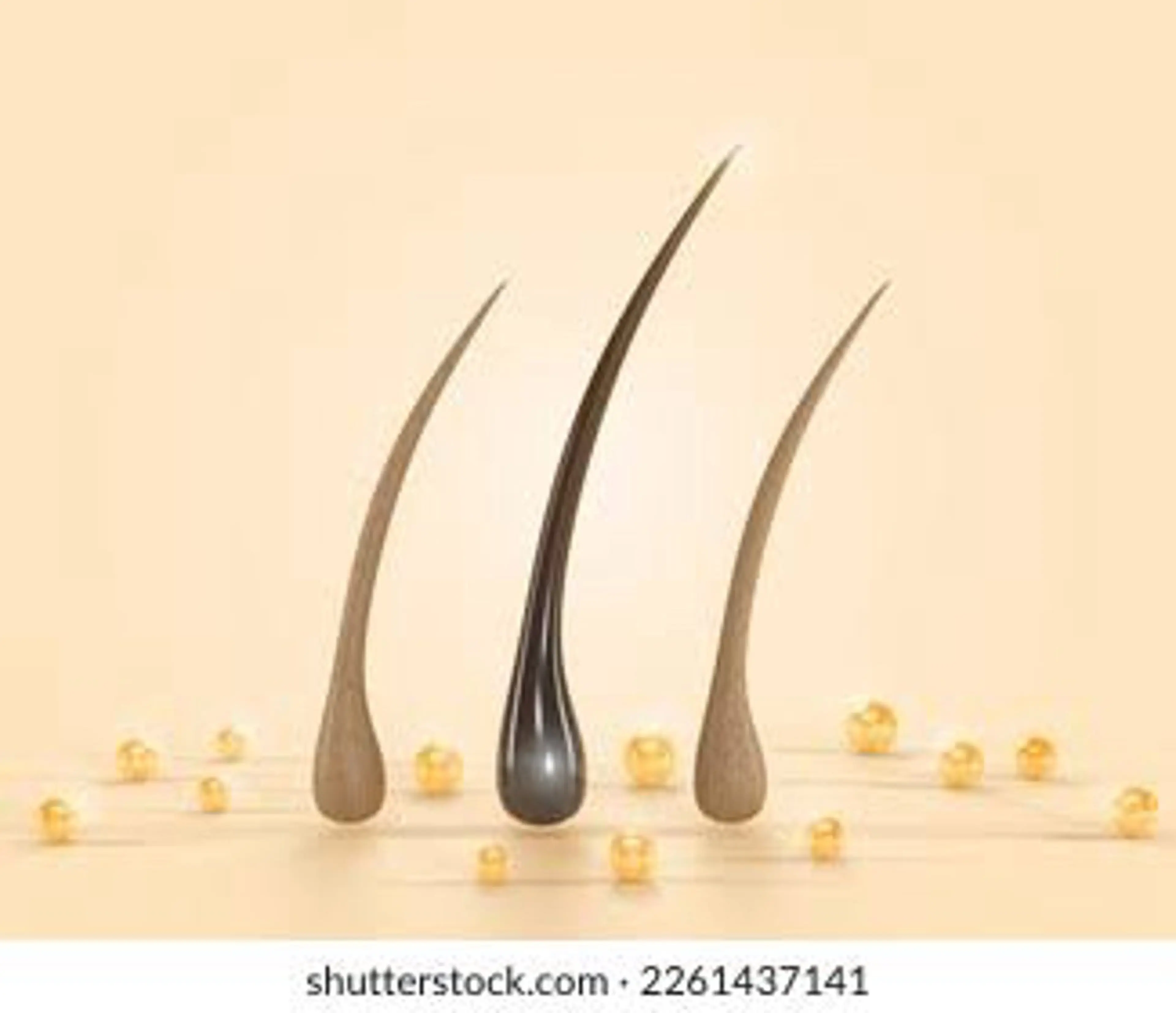 外部内部修復トリートメントの写真