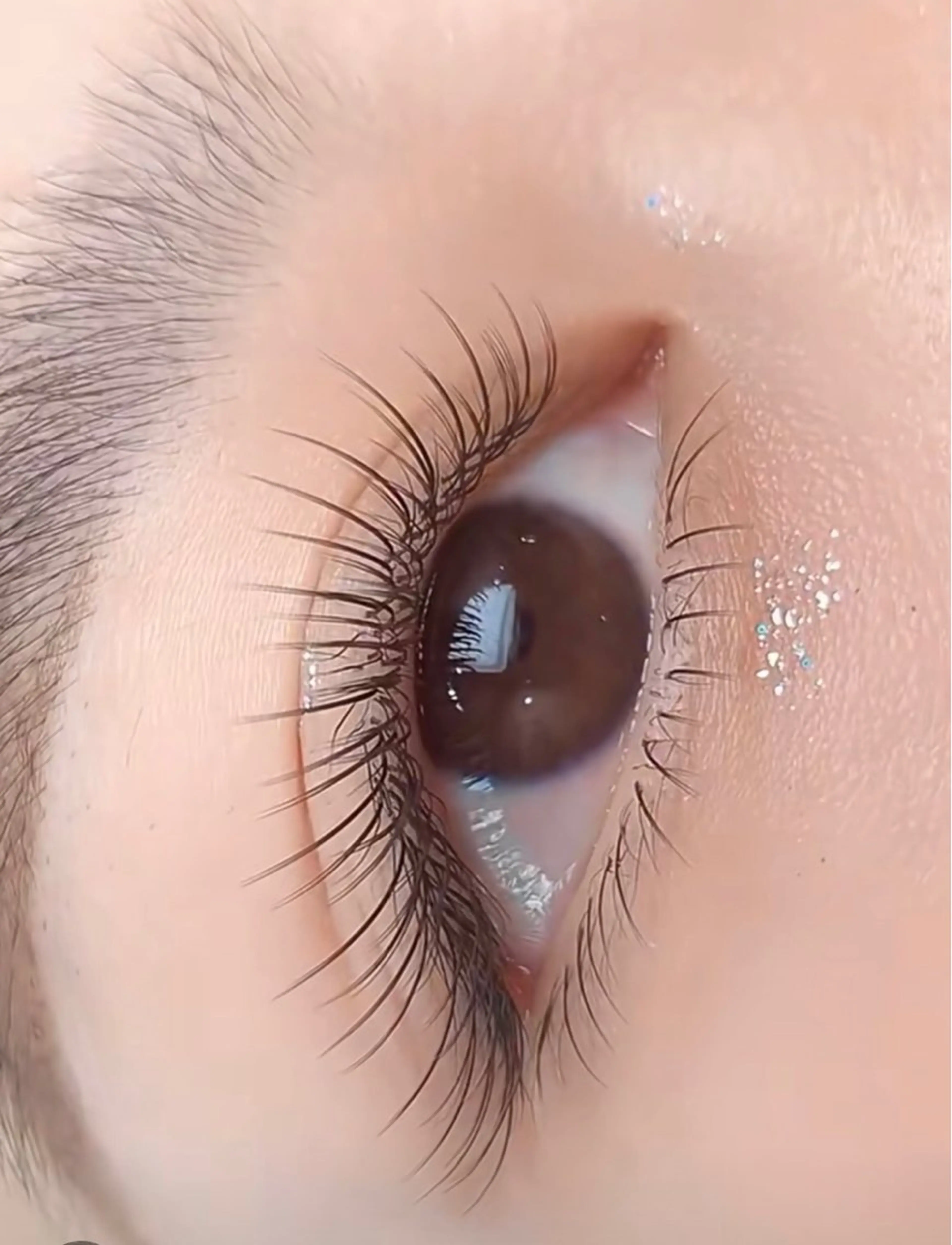 ❤️【フラットラッシュ】100本+下まつげ30本☆新規/一カ月以内オフ無料 オフありの方は予約する時教えてくださいの写真