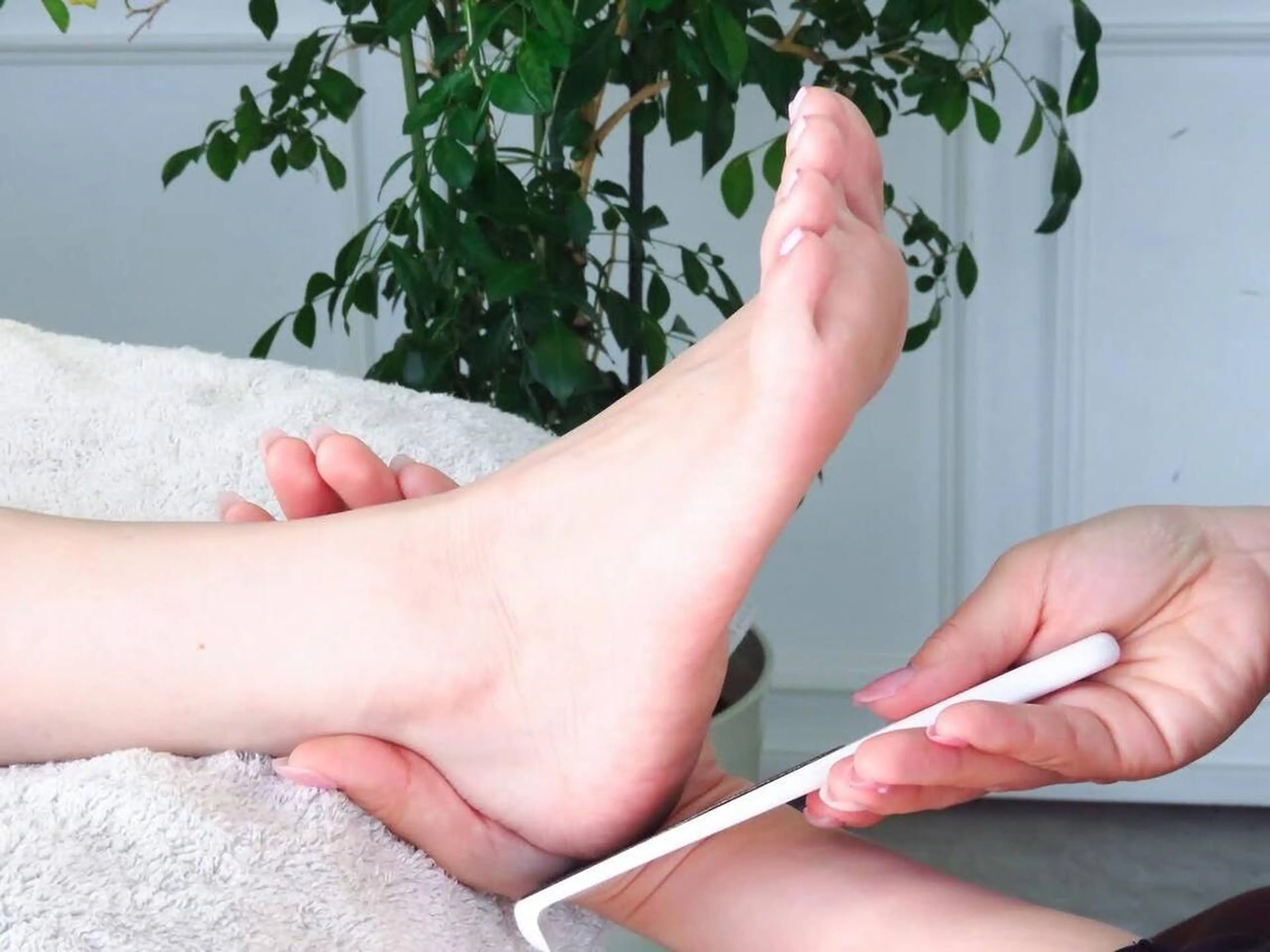 【フット】スペシャル角質ケア💜⋆͛〈ファイリング込み〉の写真