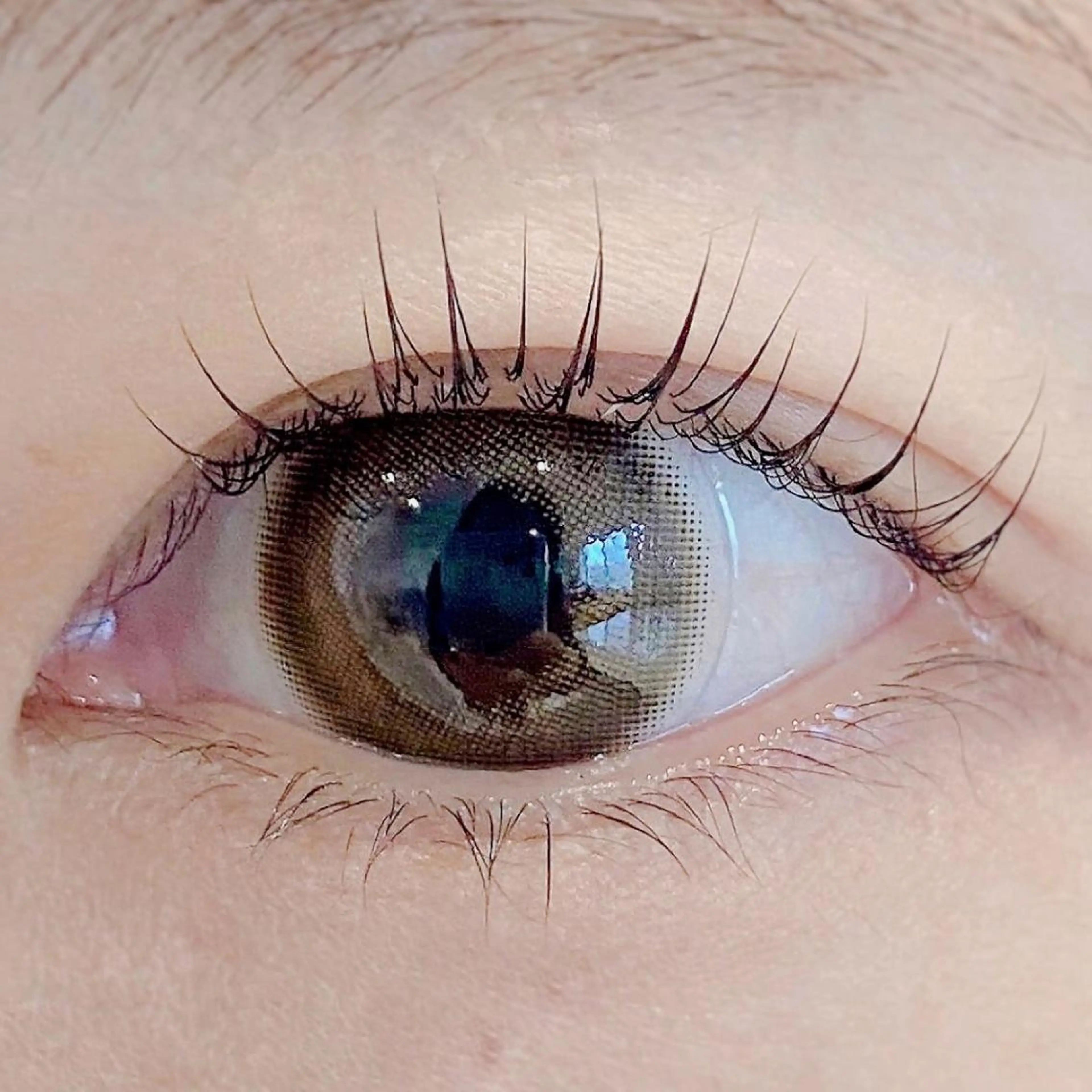 マツエク・マツパ パリジェンヌラッシュリフト August 大野のエステ・リラクイメージ