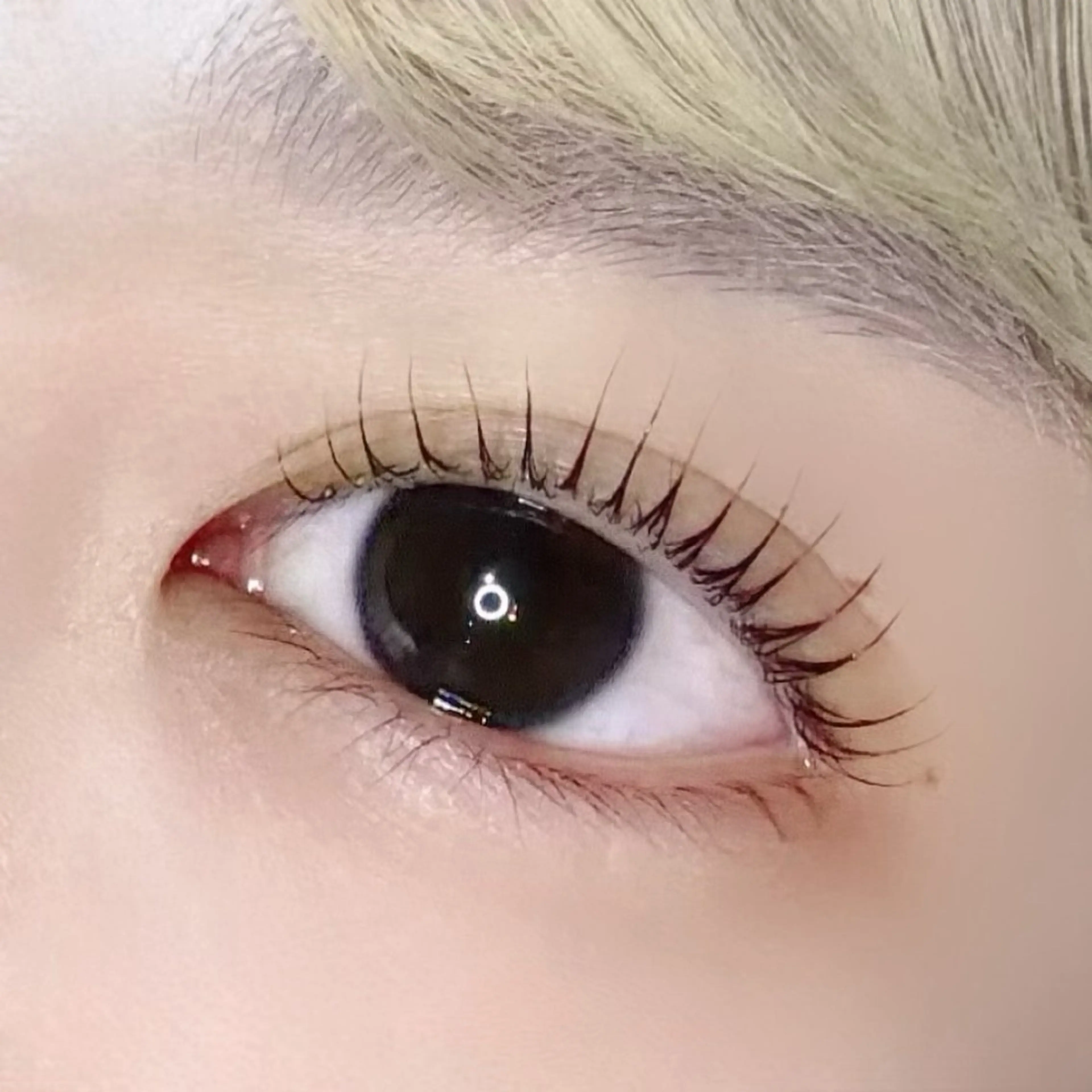 マツエク・マツパ マツパ U＆M  eyelashsalon所属・U＆M 高速長田のマツエク・マツパデザイン