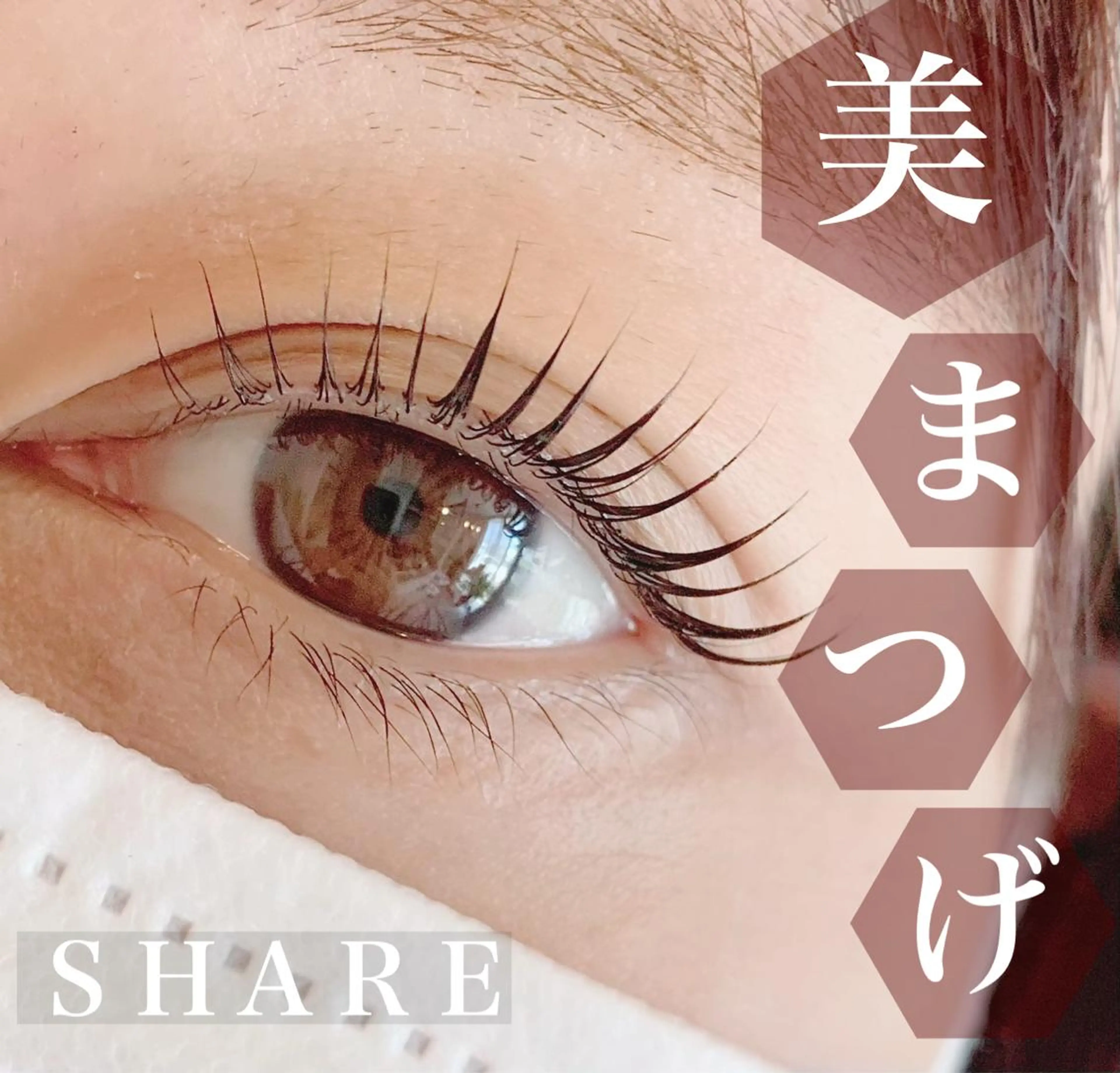 マツエク・マツパ ＳＨＡＲＥ所属・正箱 真紗美の眉毛・アイブロウイメージ