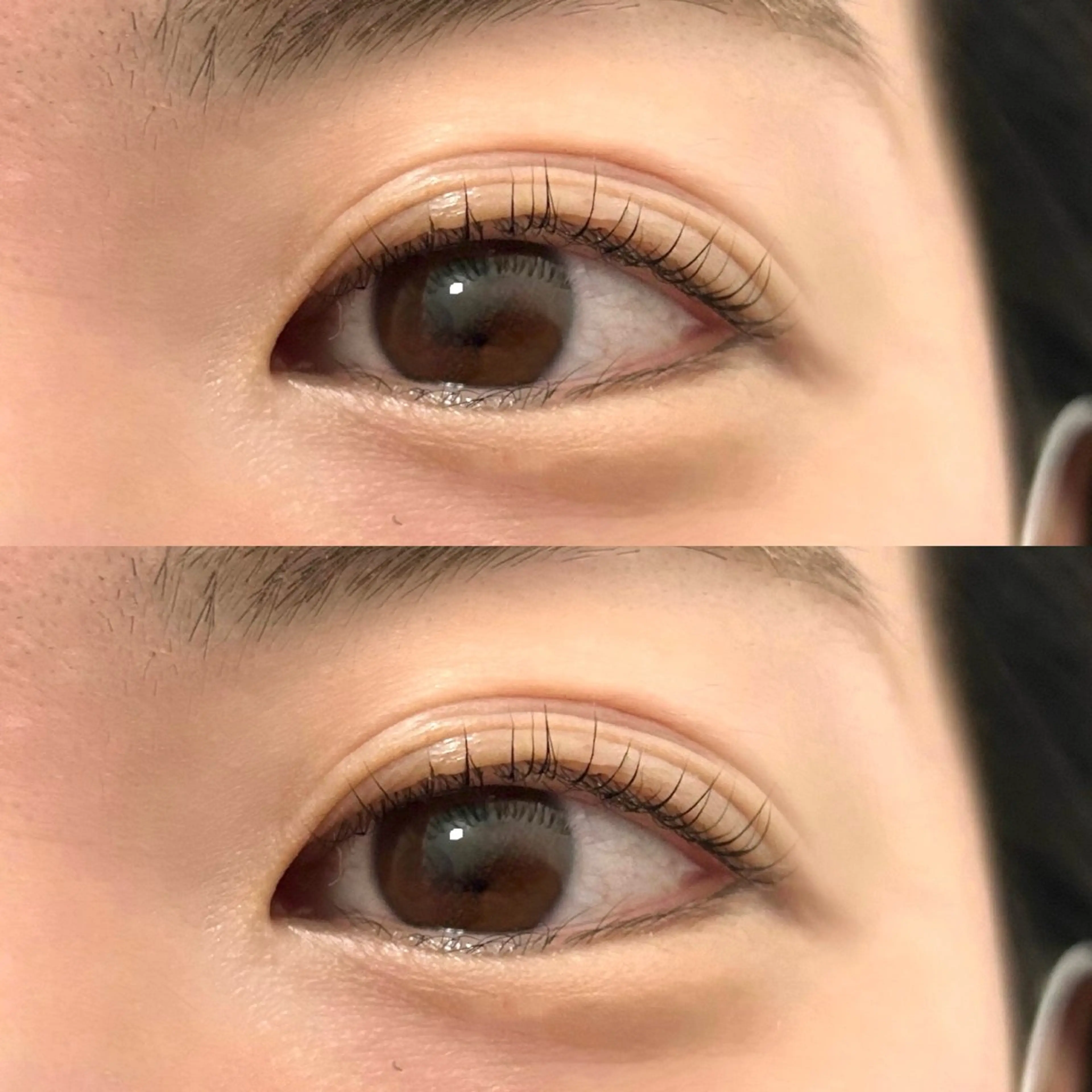 Dカールラッシュリフト🌙コーティング付き❤︎の写真