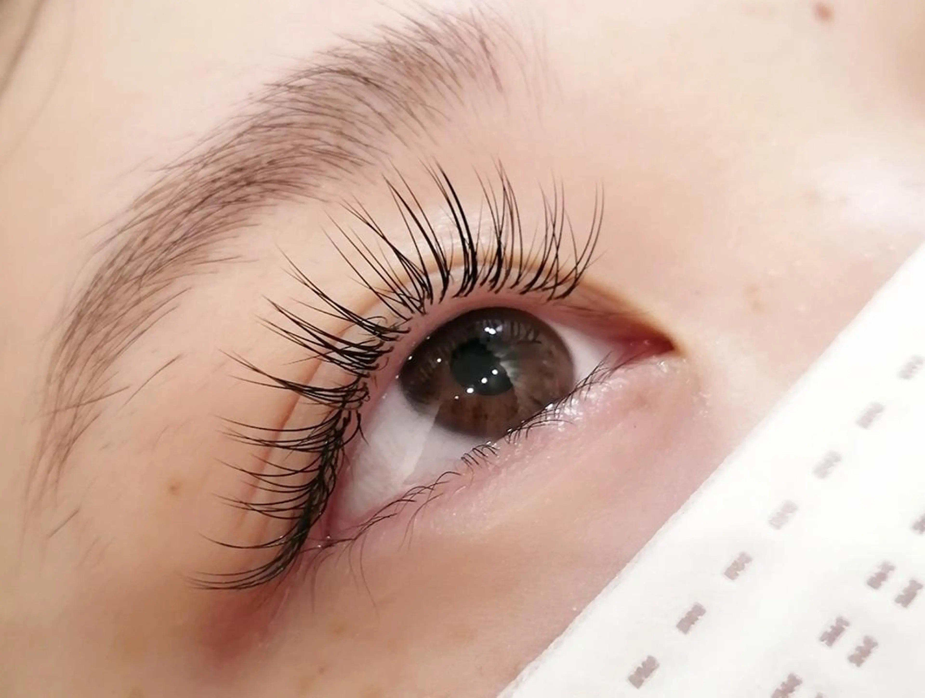 マツエク・マツパ マツエク Favori 田辺のマツエク・マツパデザイン