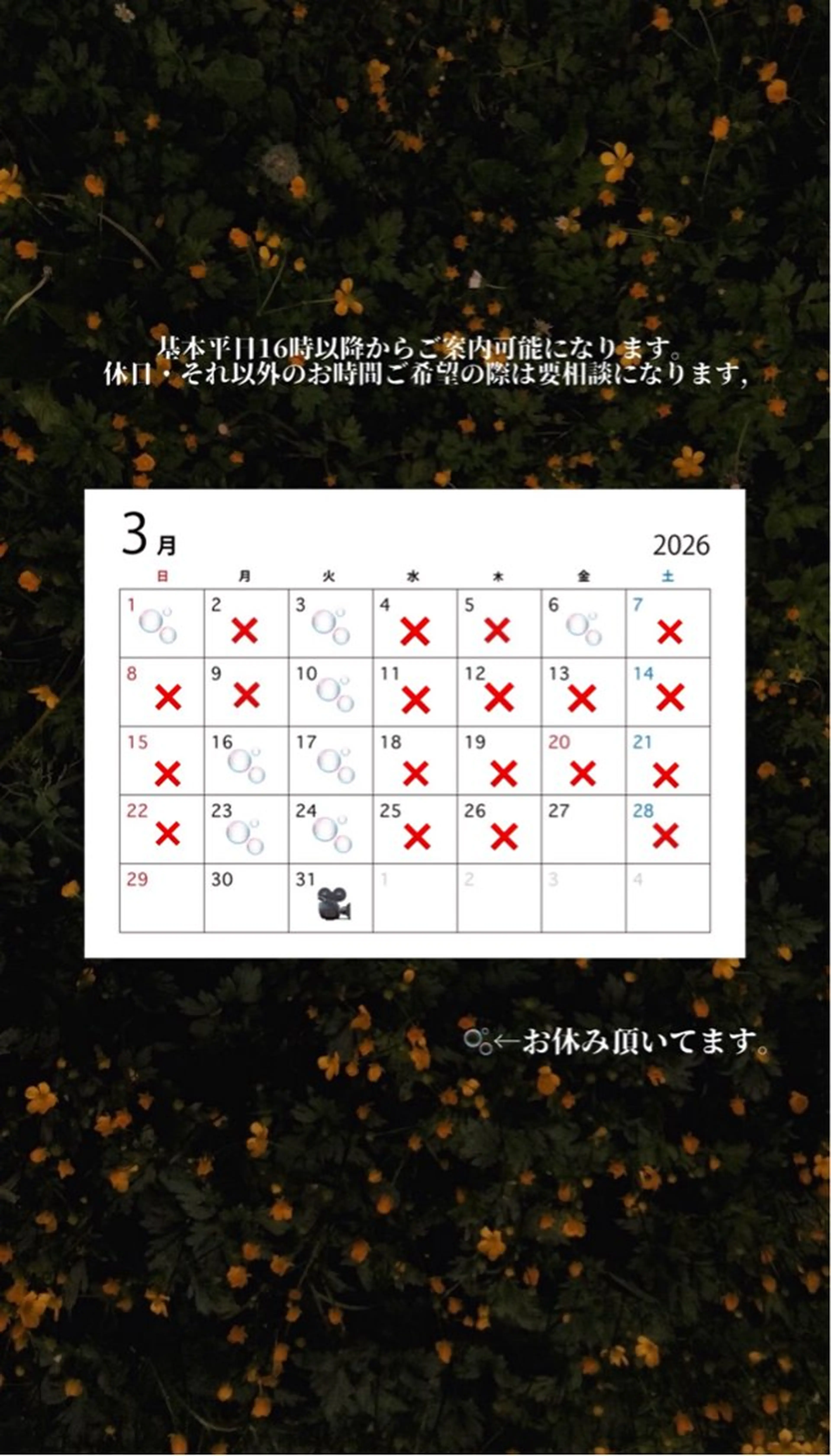 🌺トレンド暖色へア 🌺/Mayaのヘアスタイル