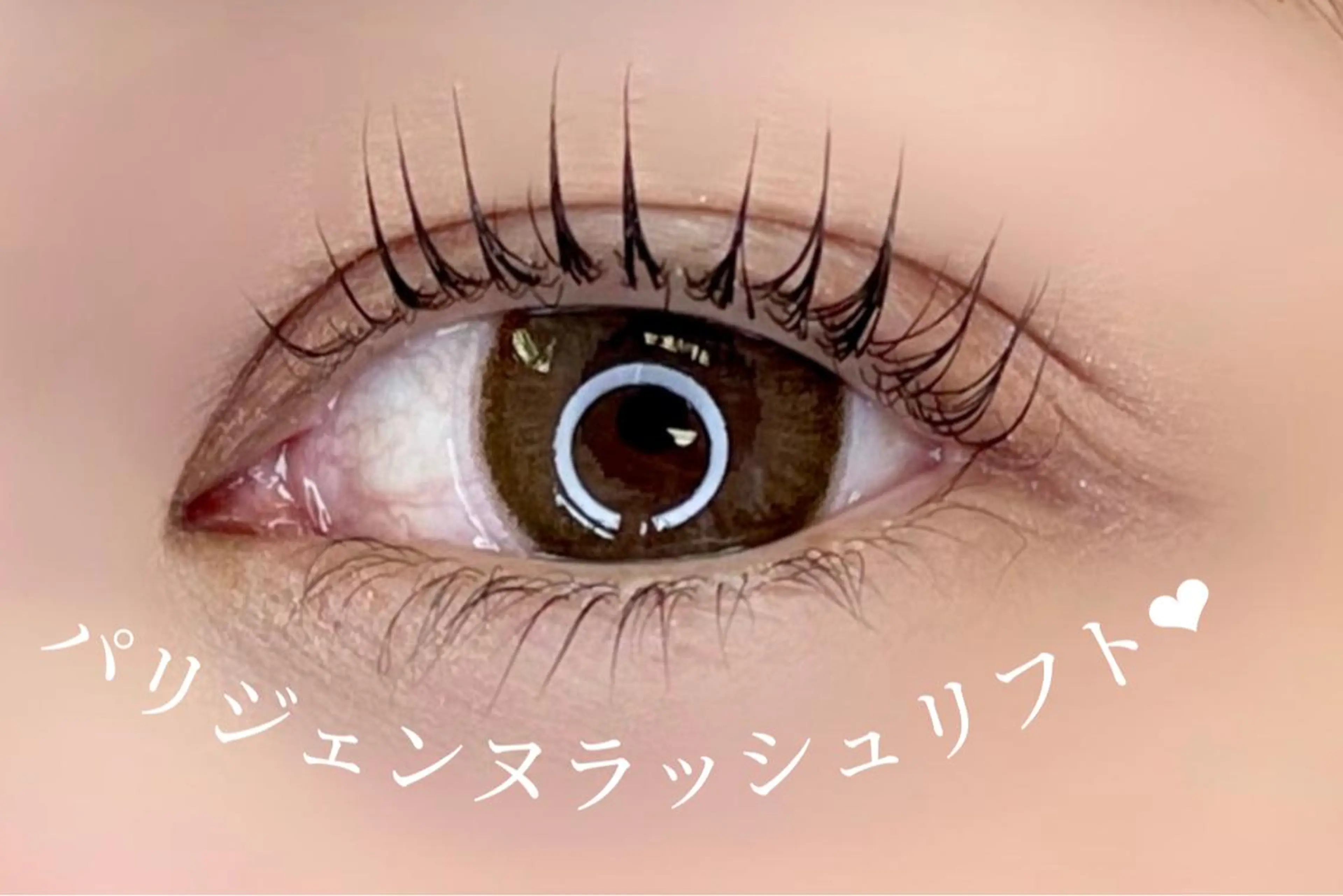 マツエク・マツパ マツパ 大阪福島 韓国まつげ Sayaka🤍🐩のマツエク・マツパデザイン