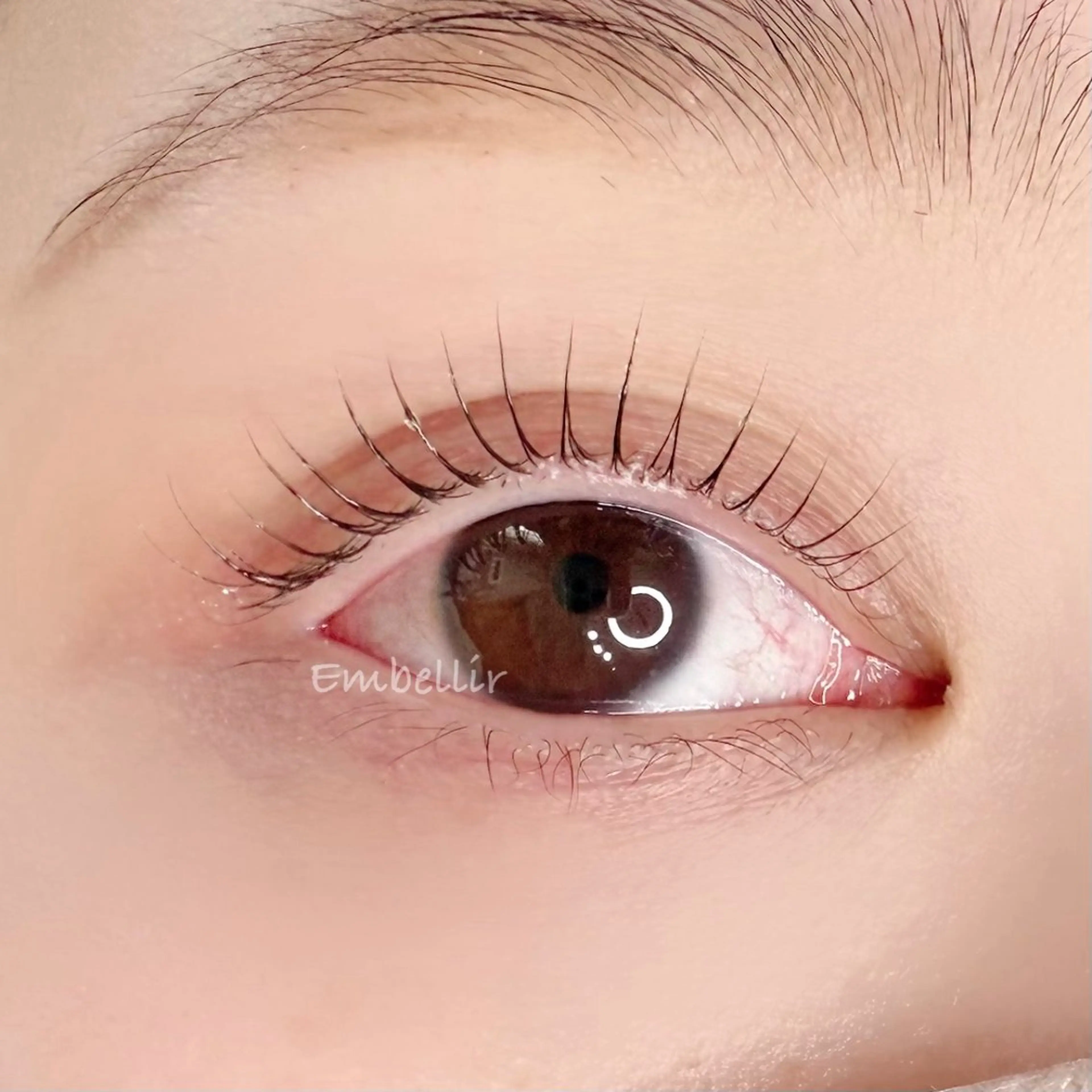 マツエク・マツパ マツパ Embellir所属・Embellir Tamamiのマツエク・マツパデザイン