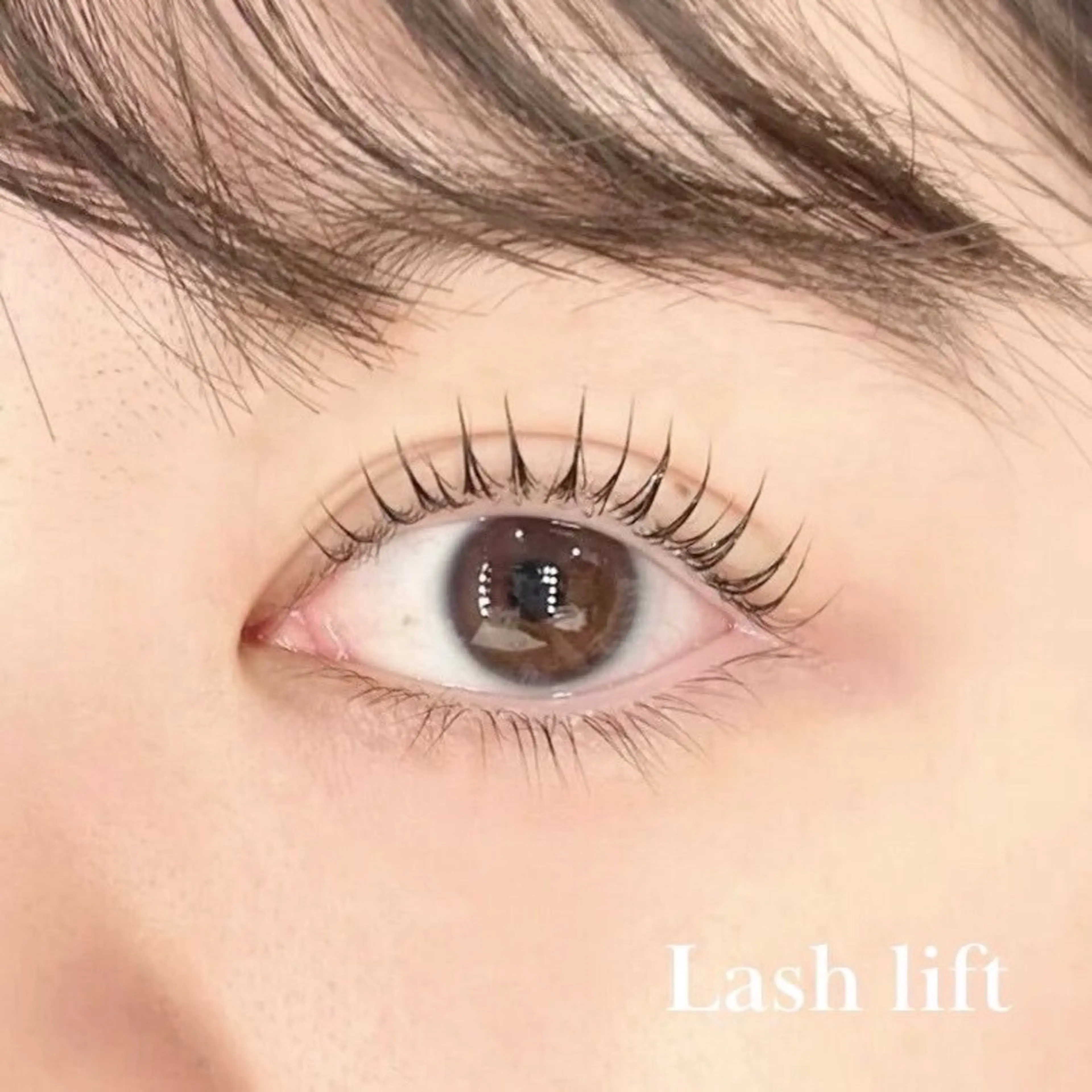 【平日限定】新規まつ毛パーマ🎀🫧通常¥5500→¥4600✨カウンセリング含め、1時間15分ほどお時間いただきますの写真