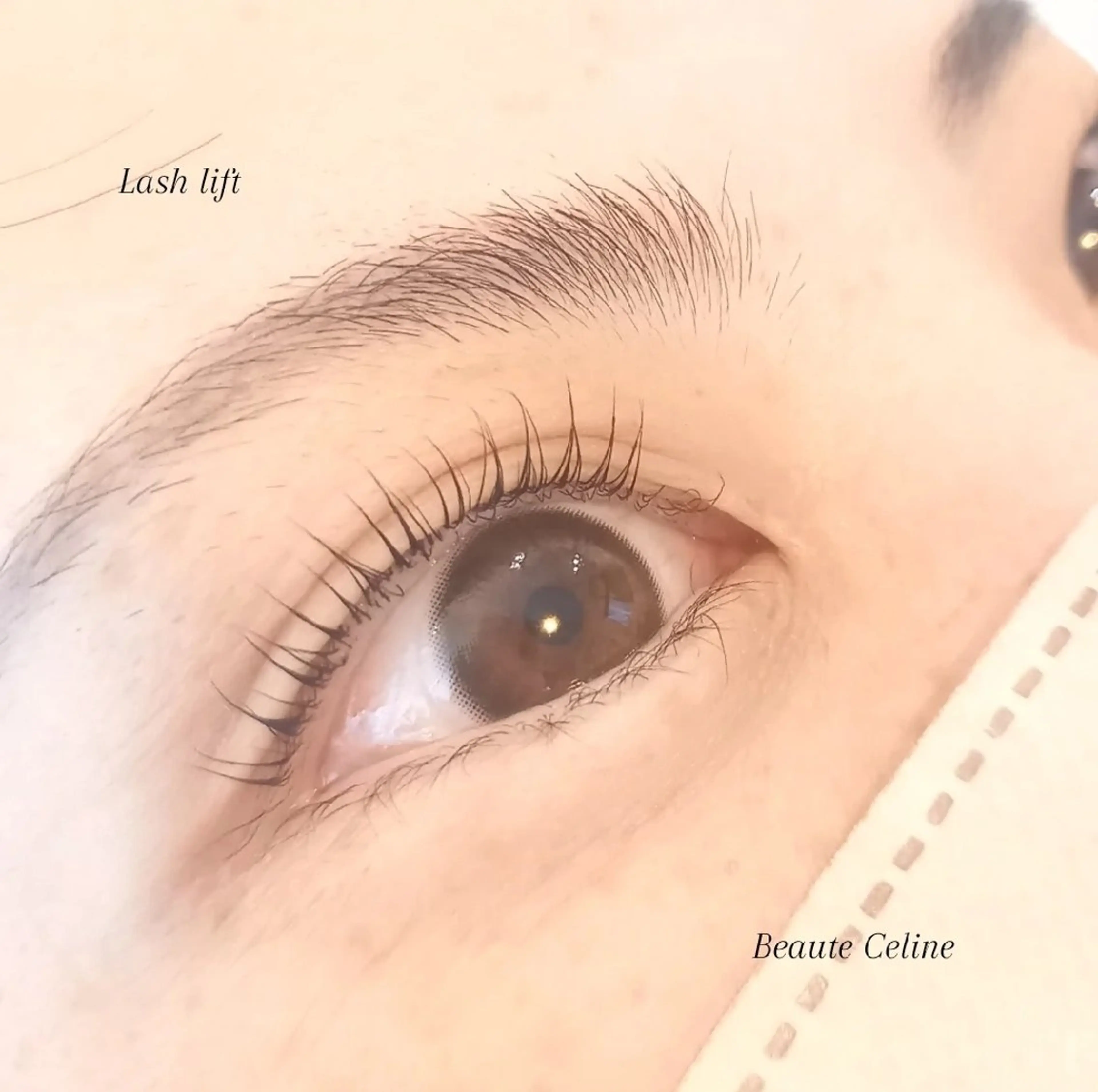 マツエク・マツパ マツパ beaute.celine所属・8時~✨beaute Celine🌛🌹のマツエク・マツパデザイン