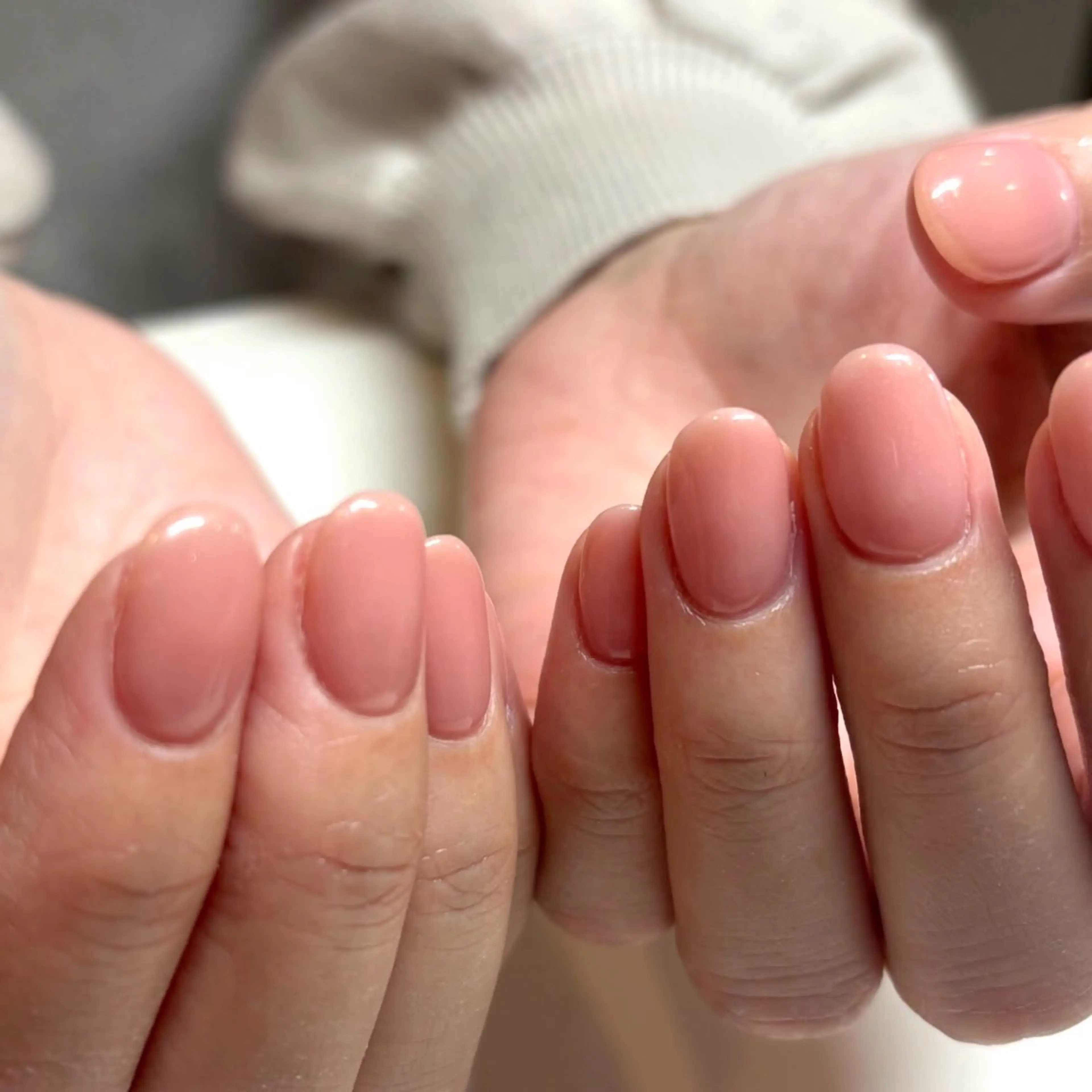 【1/26、2/2限定】オフなしワンカラーモデル募集の写真