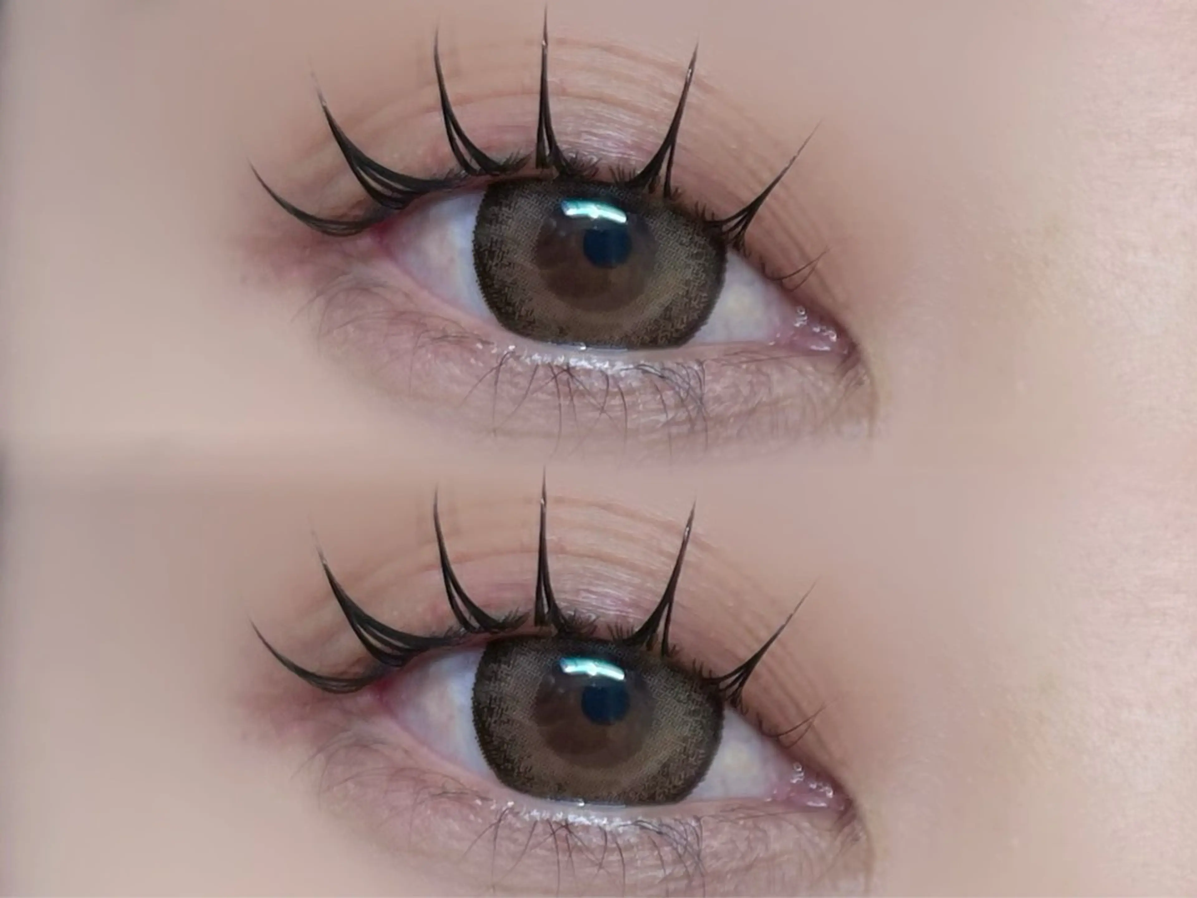 【土日価格】LASH LIFT ¥4,400 当日予約◎の写真