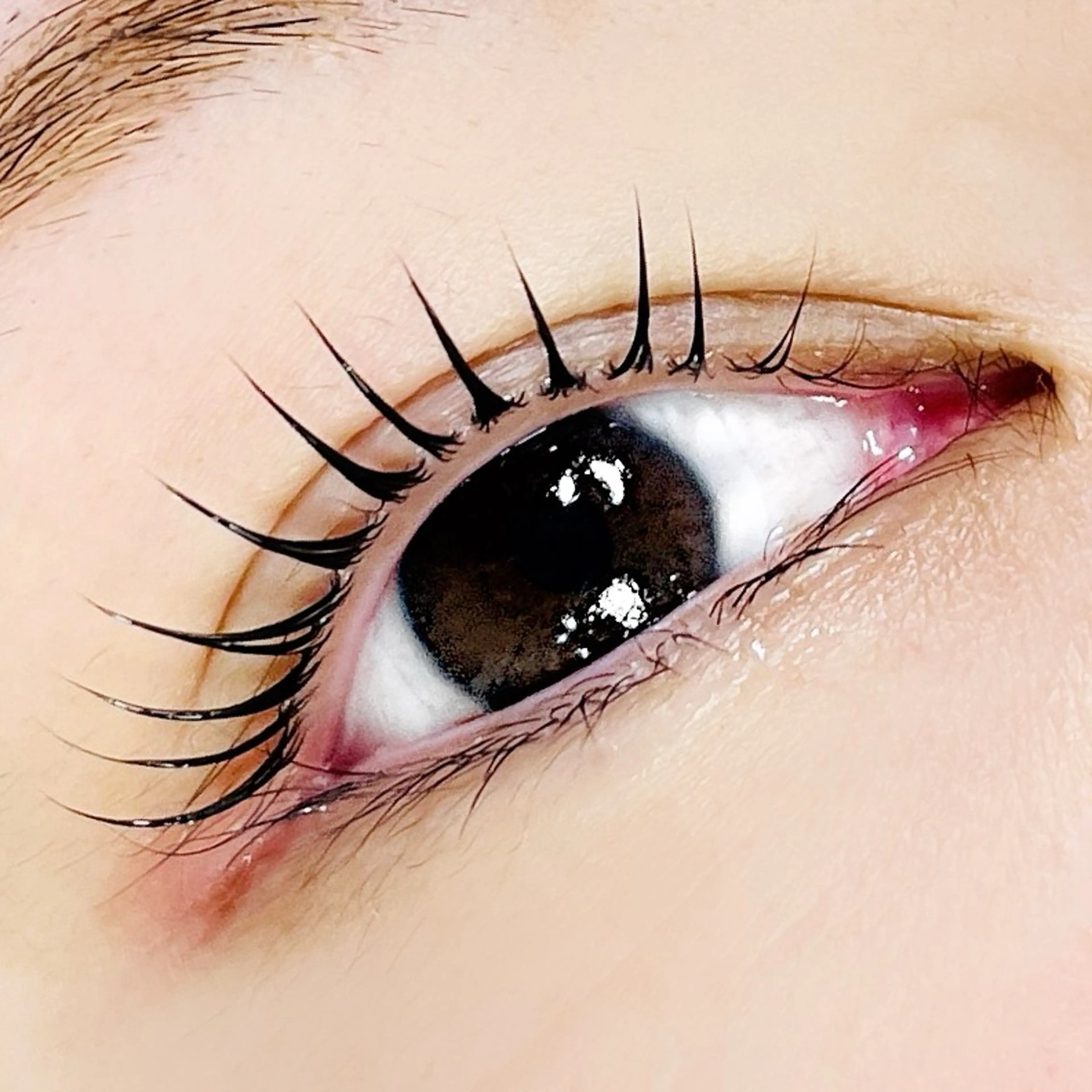 ★似合わせまつげパーマ(上のみ)★6000円の写真