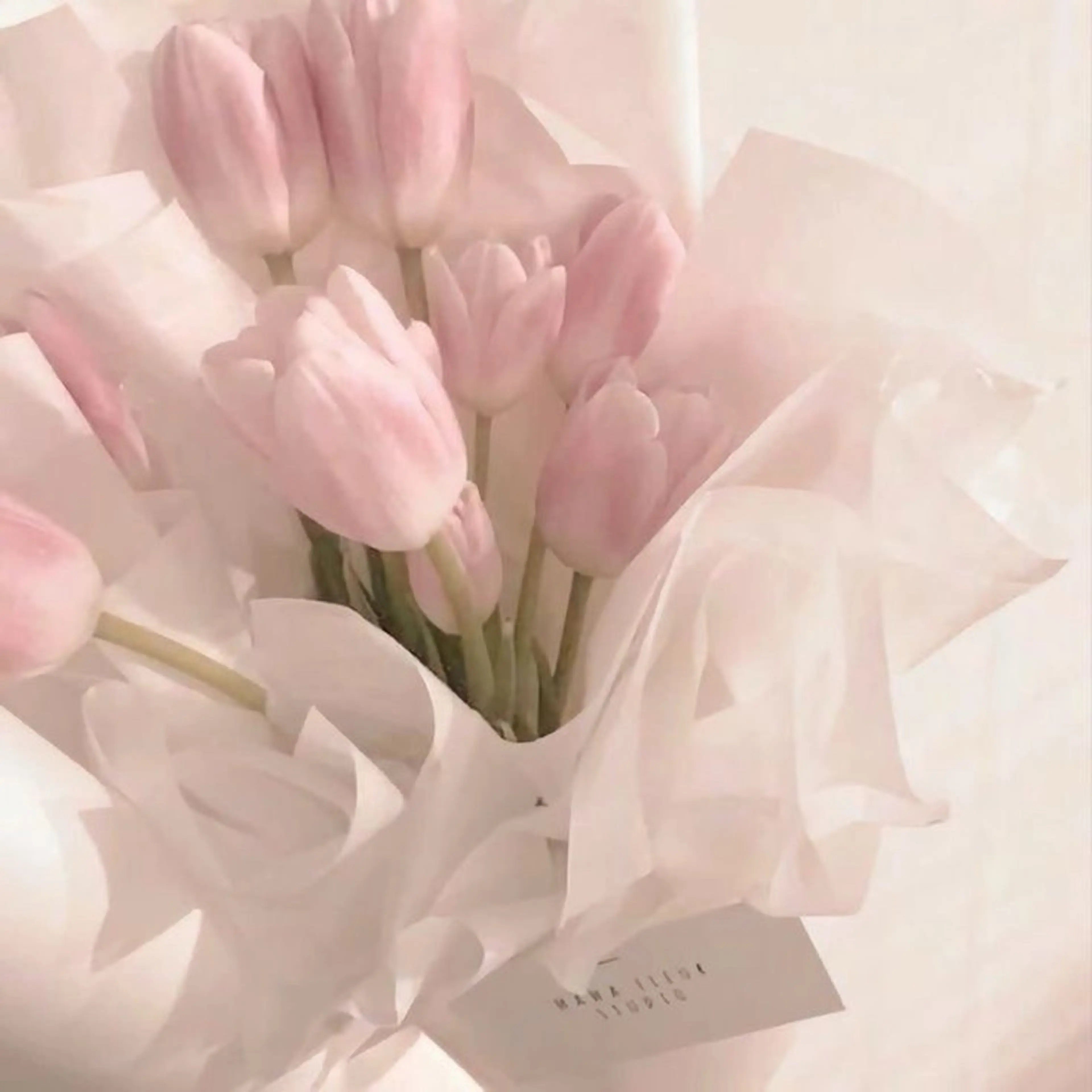 â¡ ð¹ðððã®ãã€ã«ãã¶ã€ã³